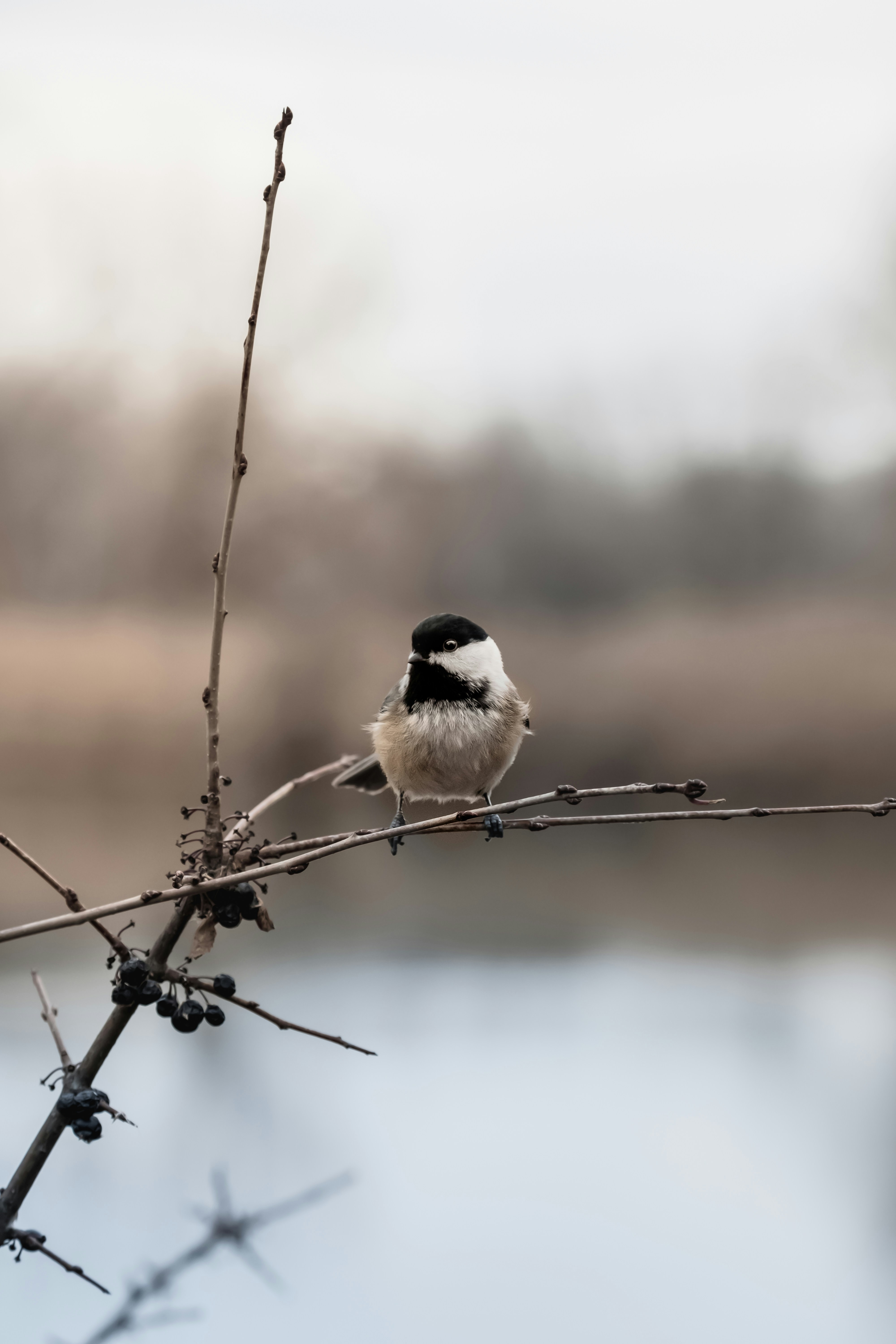 Your Monday Briefing