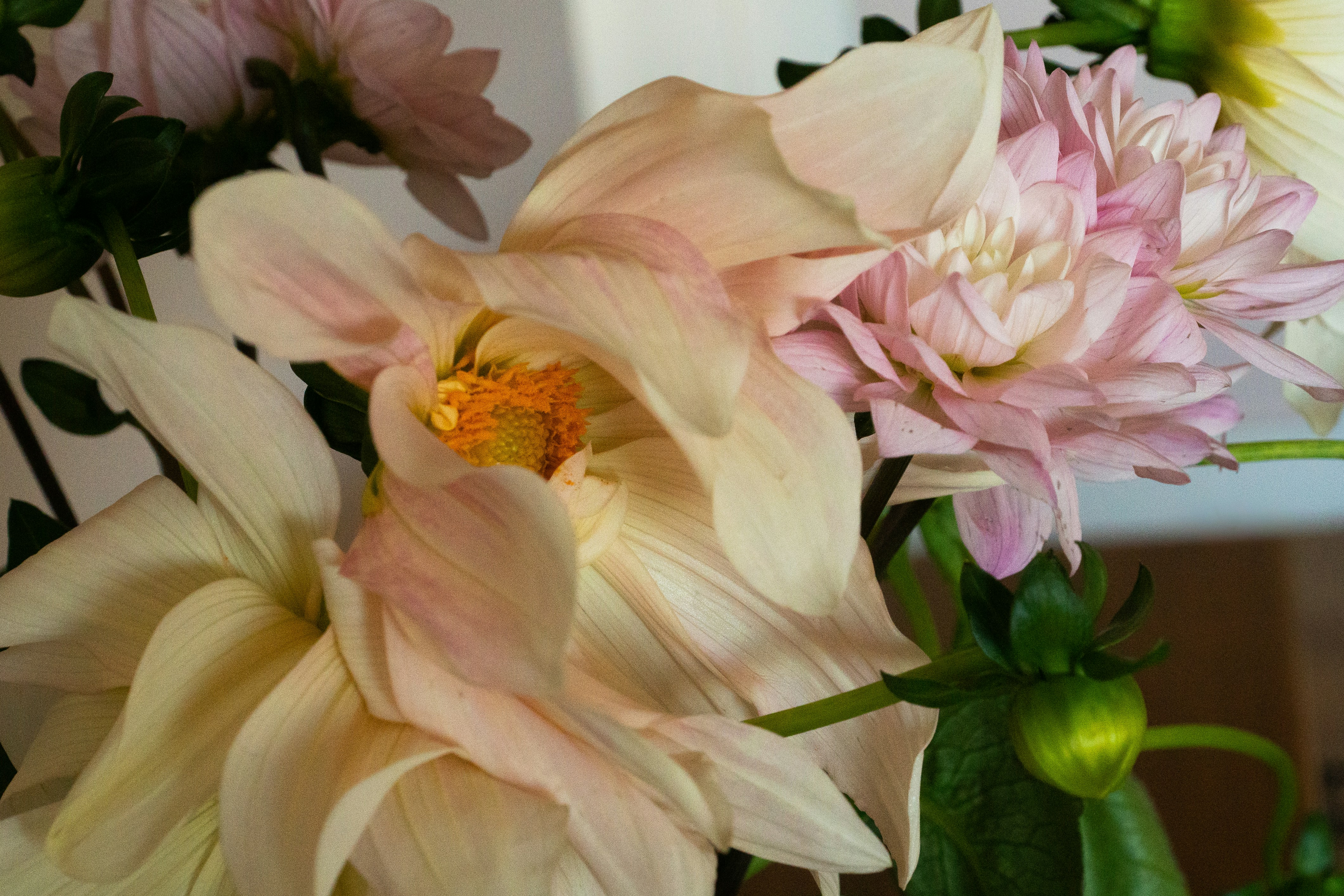 Photo by earl_plannerzone