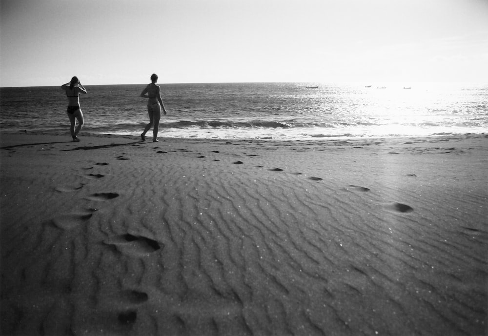 silhouette of 2 person walking on beach during daytime