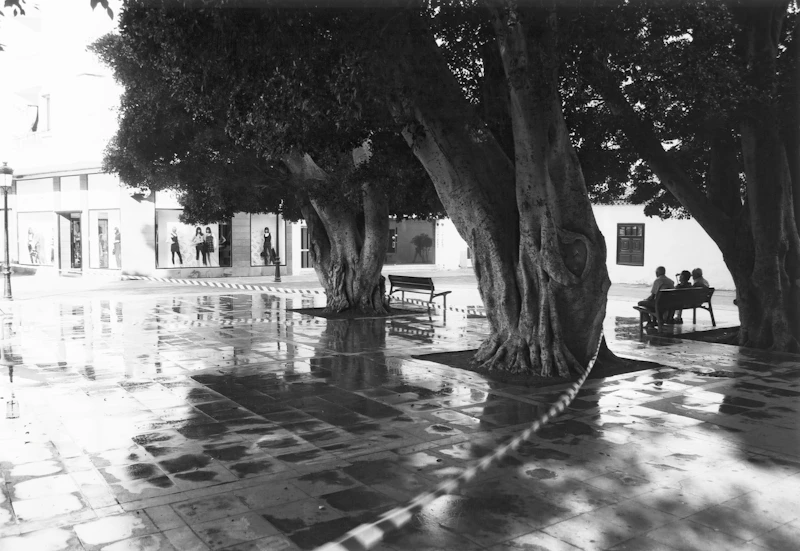 Paisaje sereno, el destino perfecto para una escapada romántica