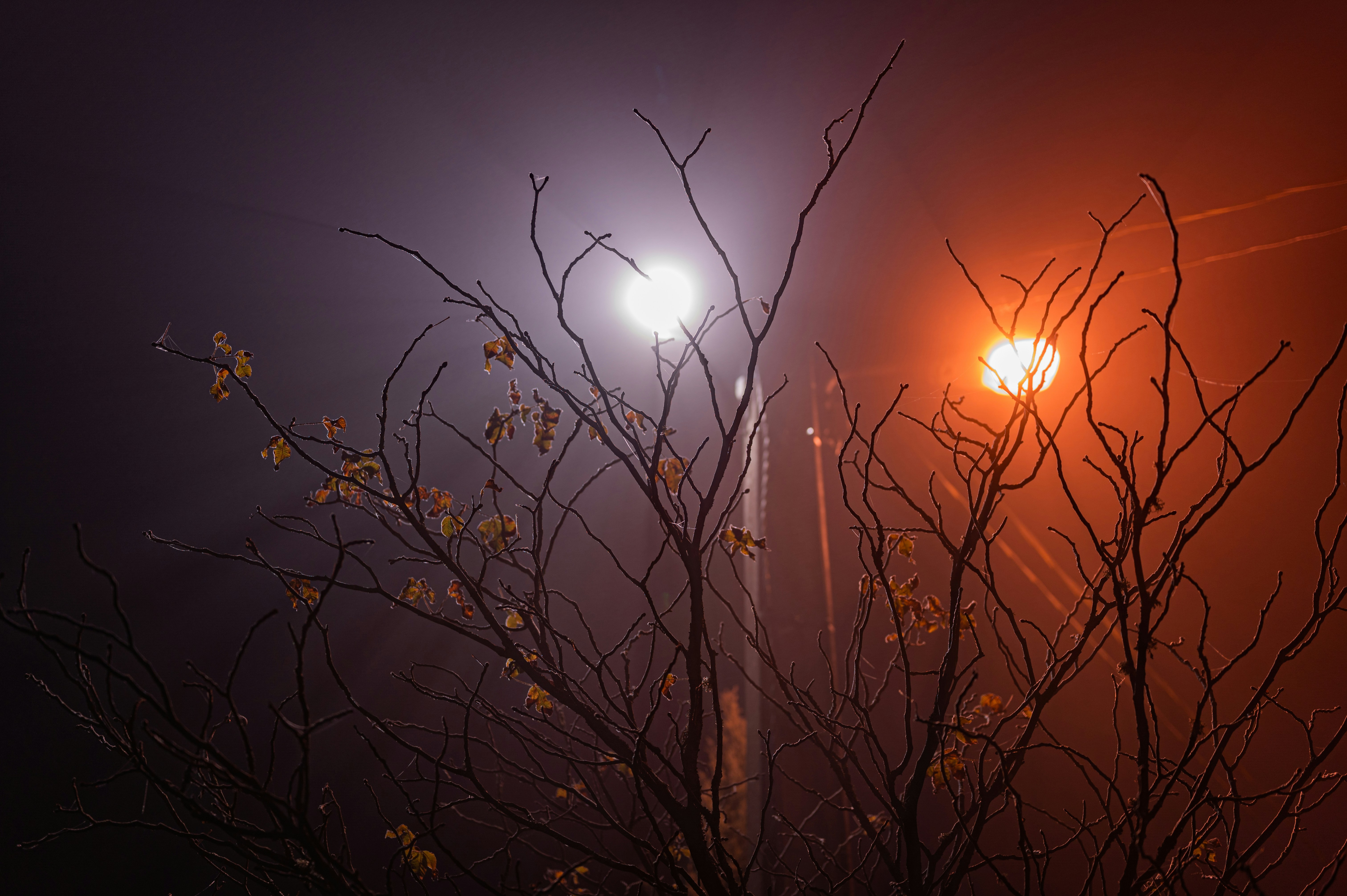 Photo by andreasbrun