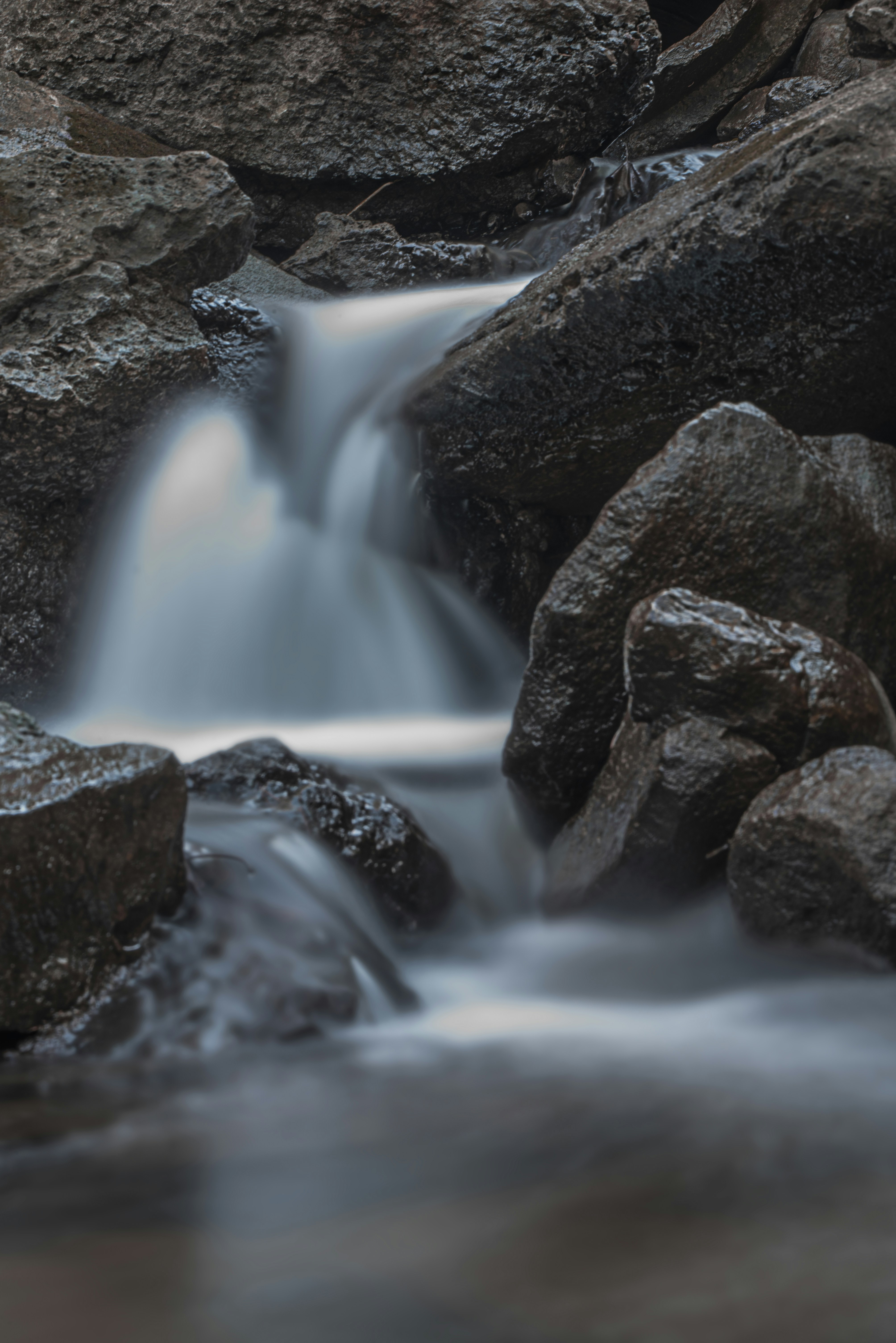 Photo by jessika2534