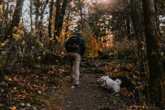 A person wearing a backpack is walking through a forest path with a small white dog on a leash. The ground is covered with fallen leaves, and the trees around have autumn foliage. Sunlight filters through the trees, creating a warm, serene atmosphere.