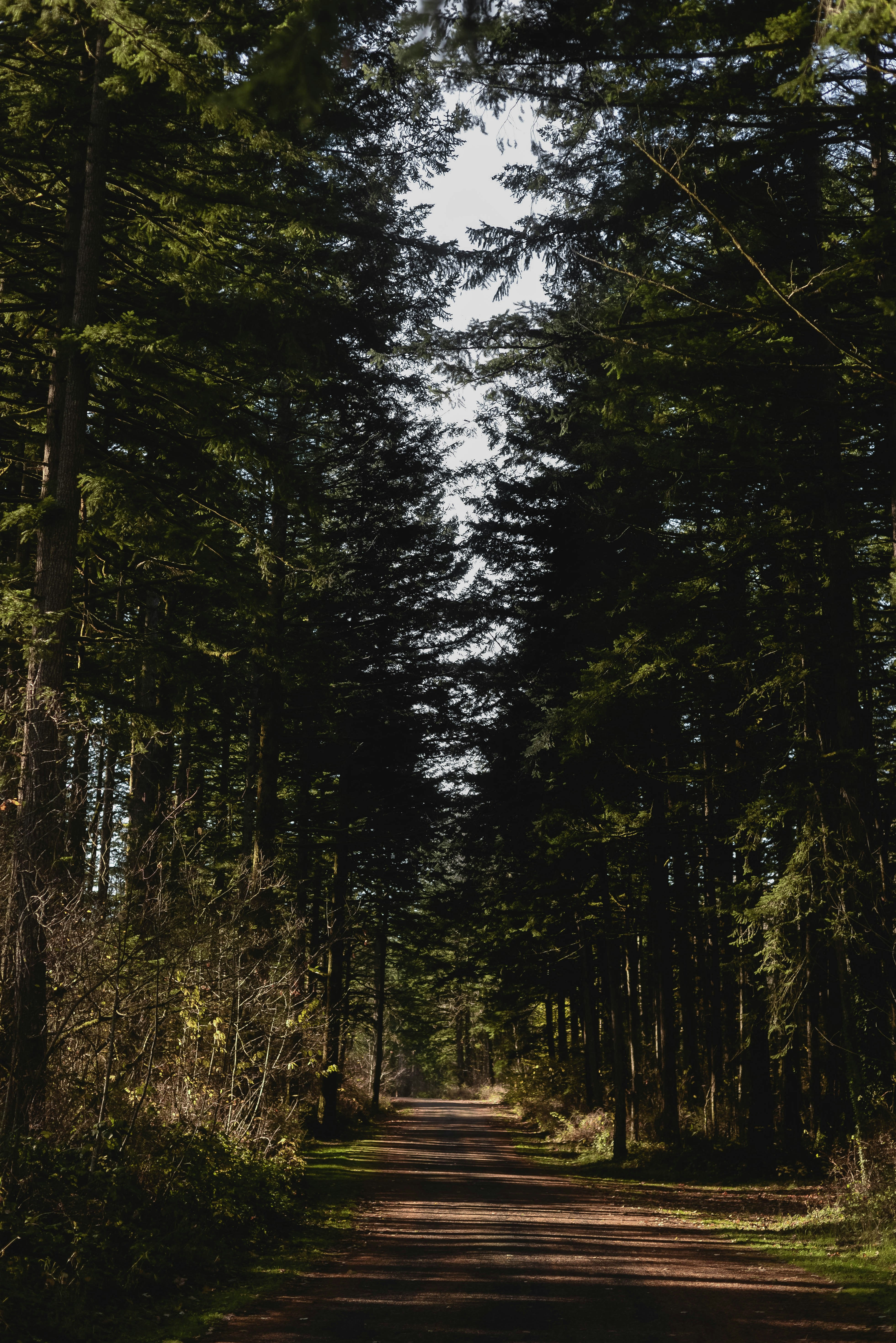 Photo by lorencutler