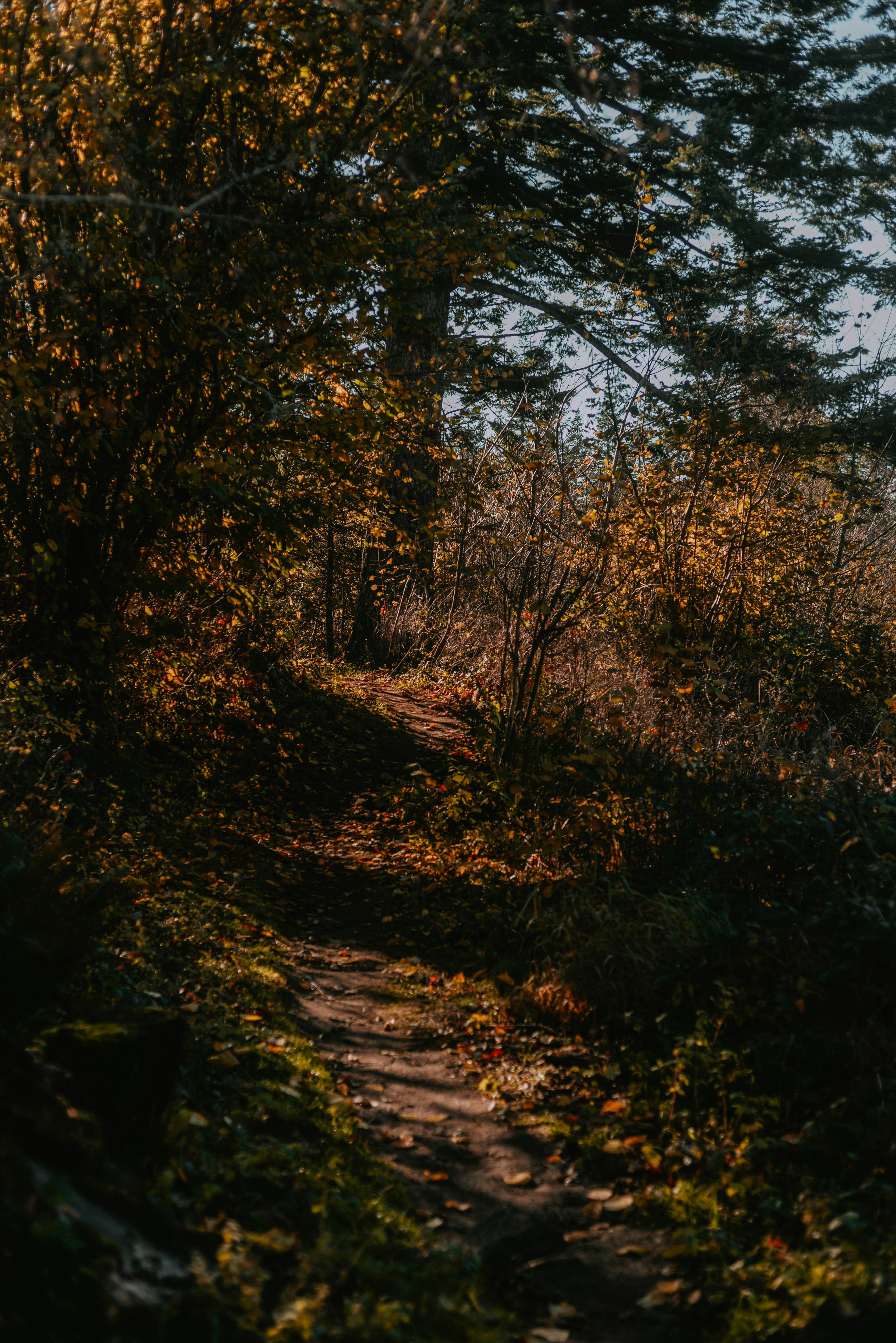 Photo by lorencutler