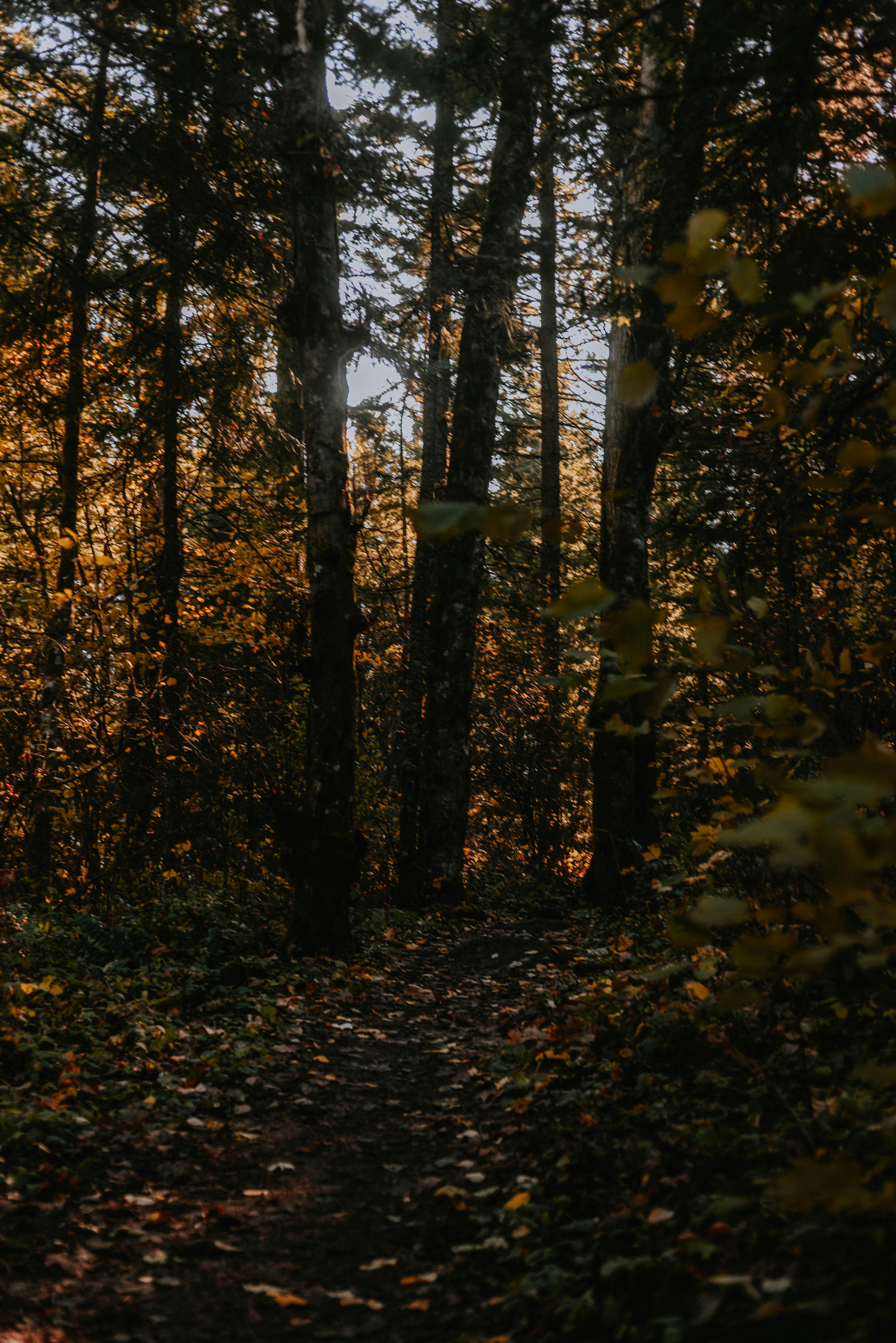 Photo by lorencutler