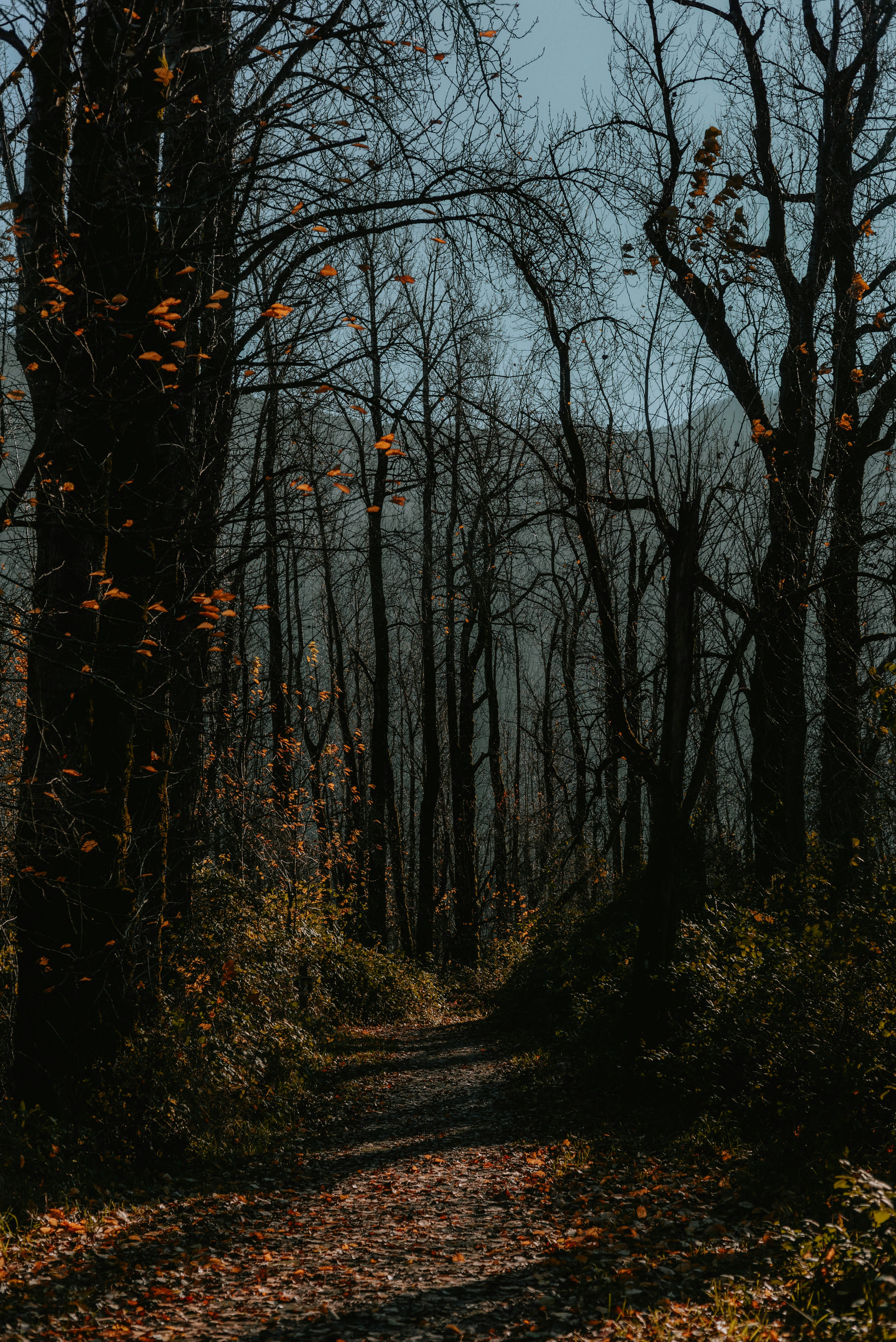 Photo by lorencutler