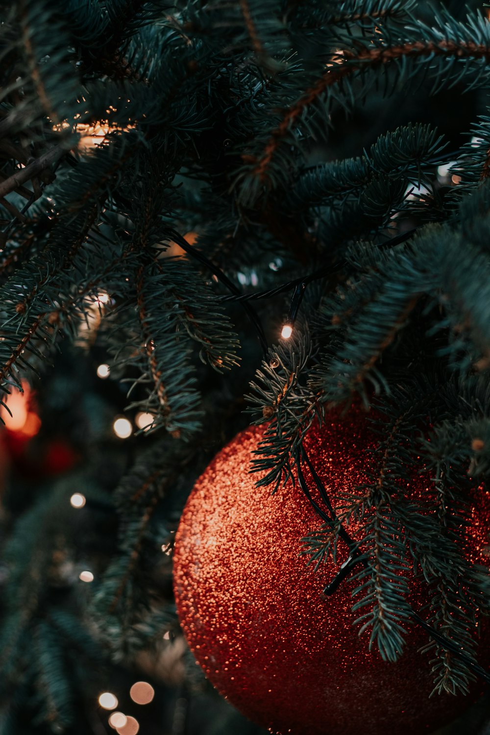 つまらないものと赤と緑のクリスマス ツリーの写真 Unsplashで見つけるヴロツワフの無料写真