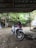 A motorbike is parked under a corrugated metal roof. The background includes a basketball hoop attached to a tree and lush green foliage. The ground appears to be dusty with some scattered leaves.