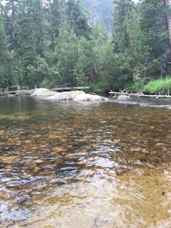 A serene image of flowing water symbolizing spiritual renewal.