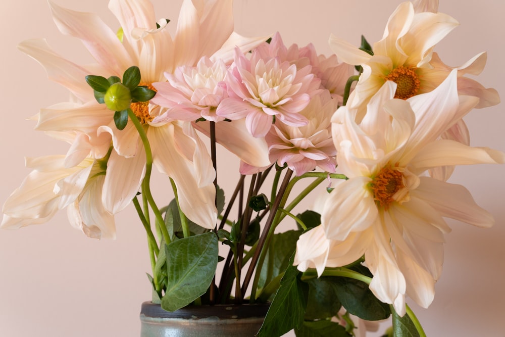 pink and white flowers in clear glass vase