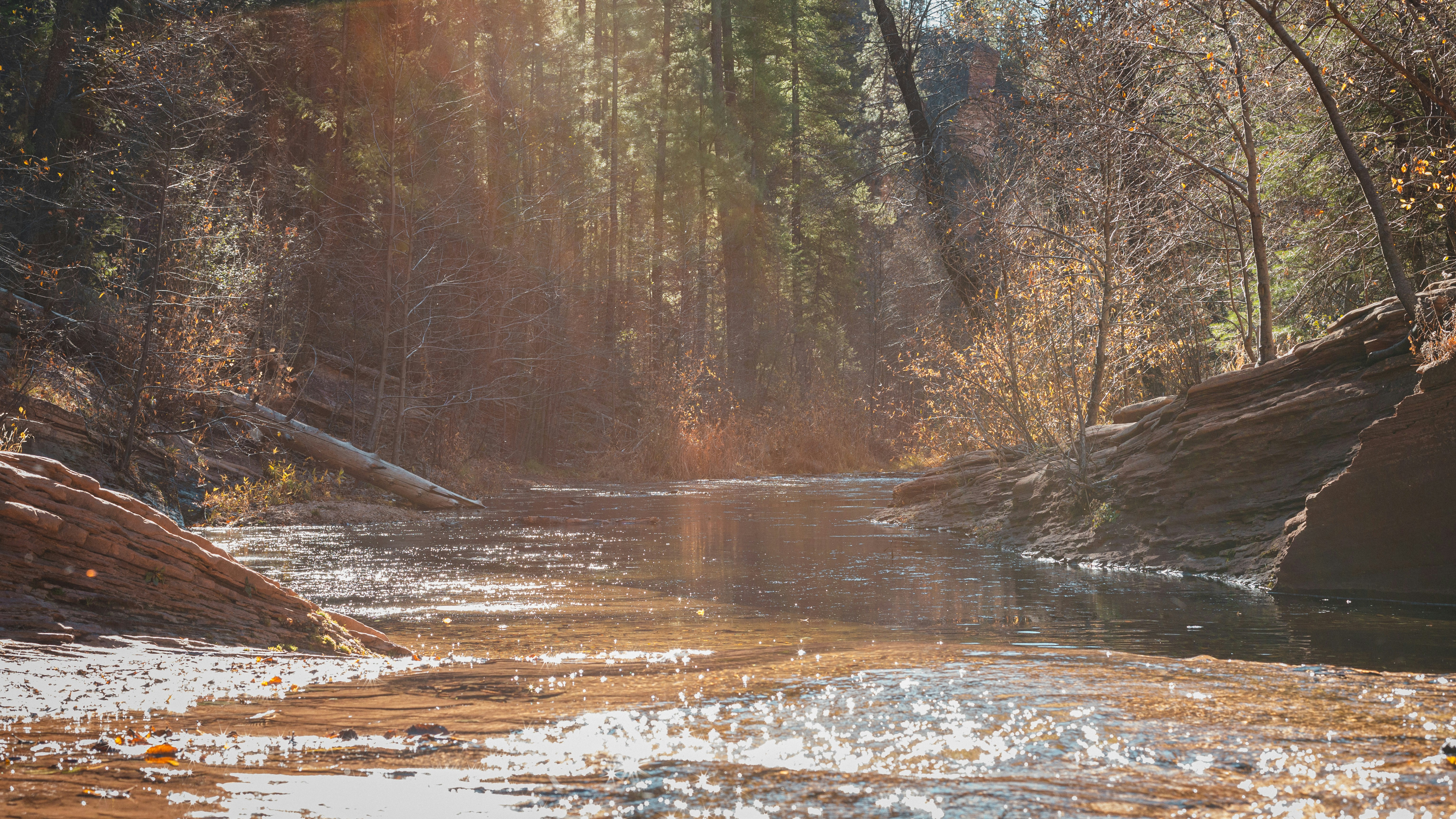 Sand Creek Pines State Natural Area