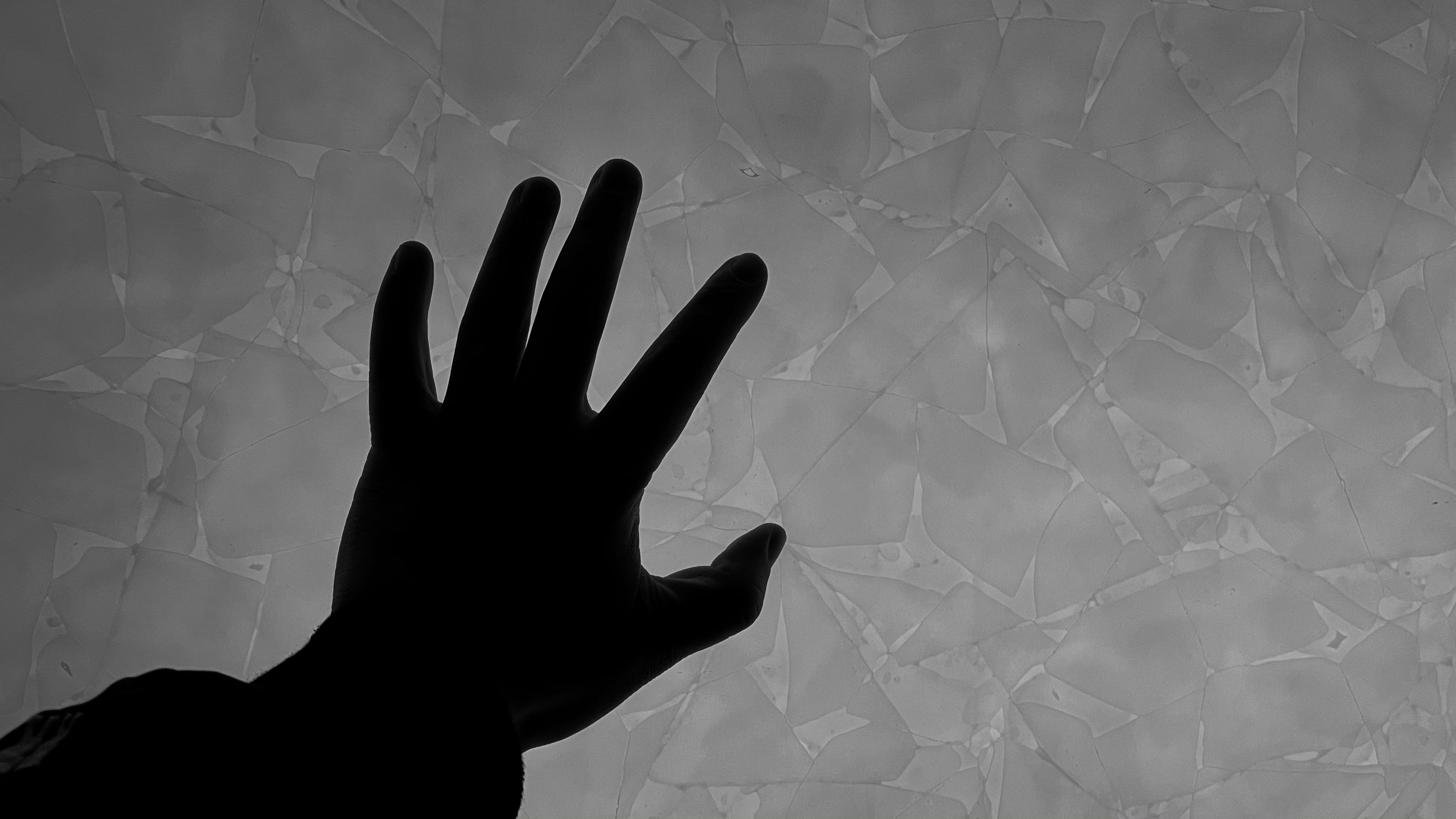 Photo by geraltyichen