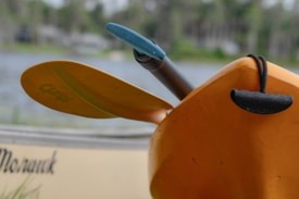 A close-up view of kayak paddles, one is yellow and the other is blue, resting against an orange kayak. The background shows a blurred view of water and greenery.