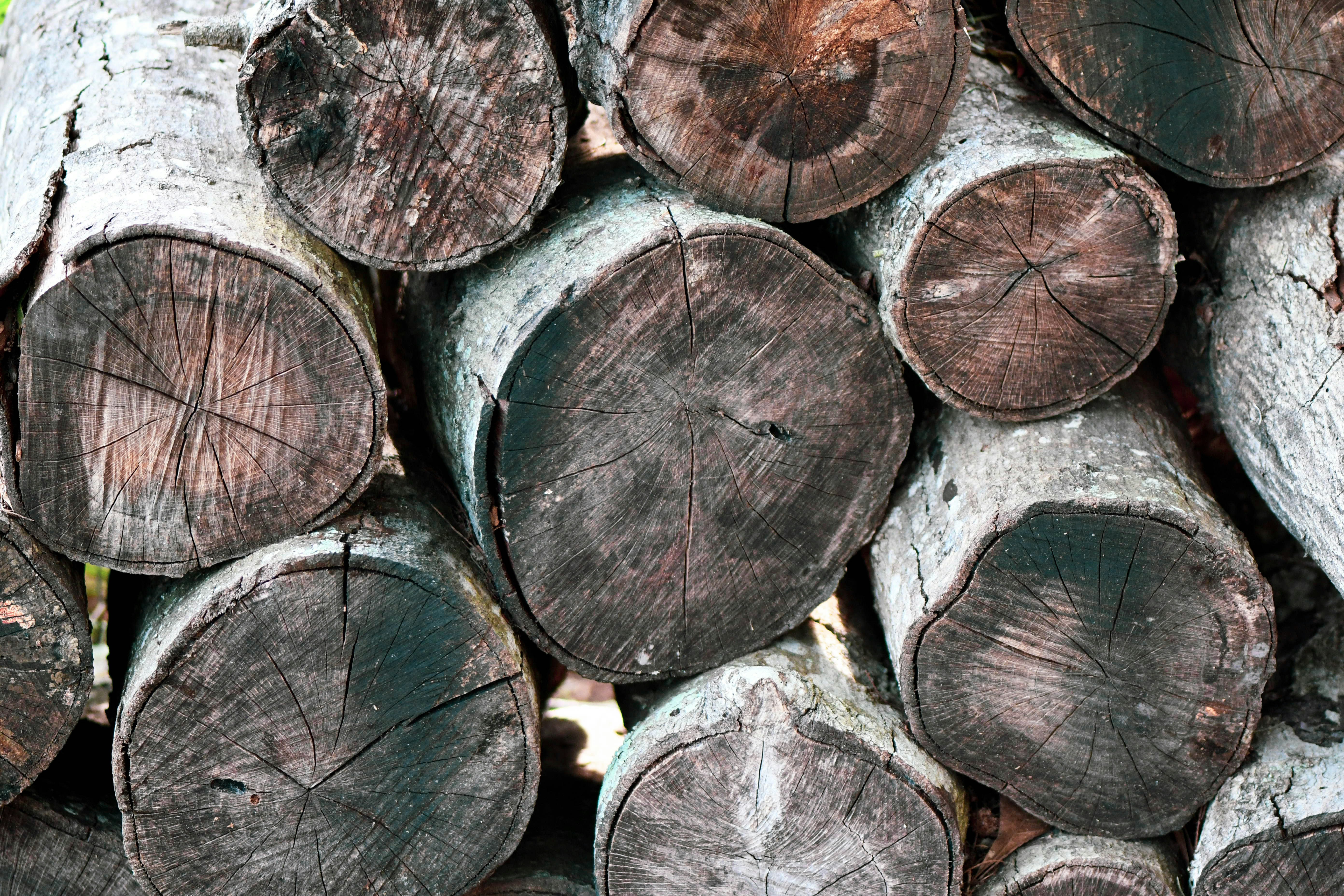 Photo by michael_barber