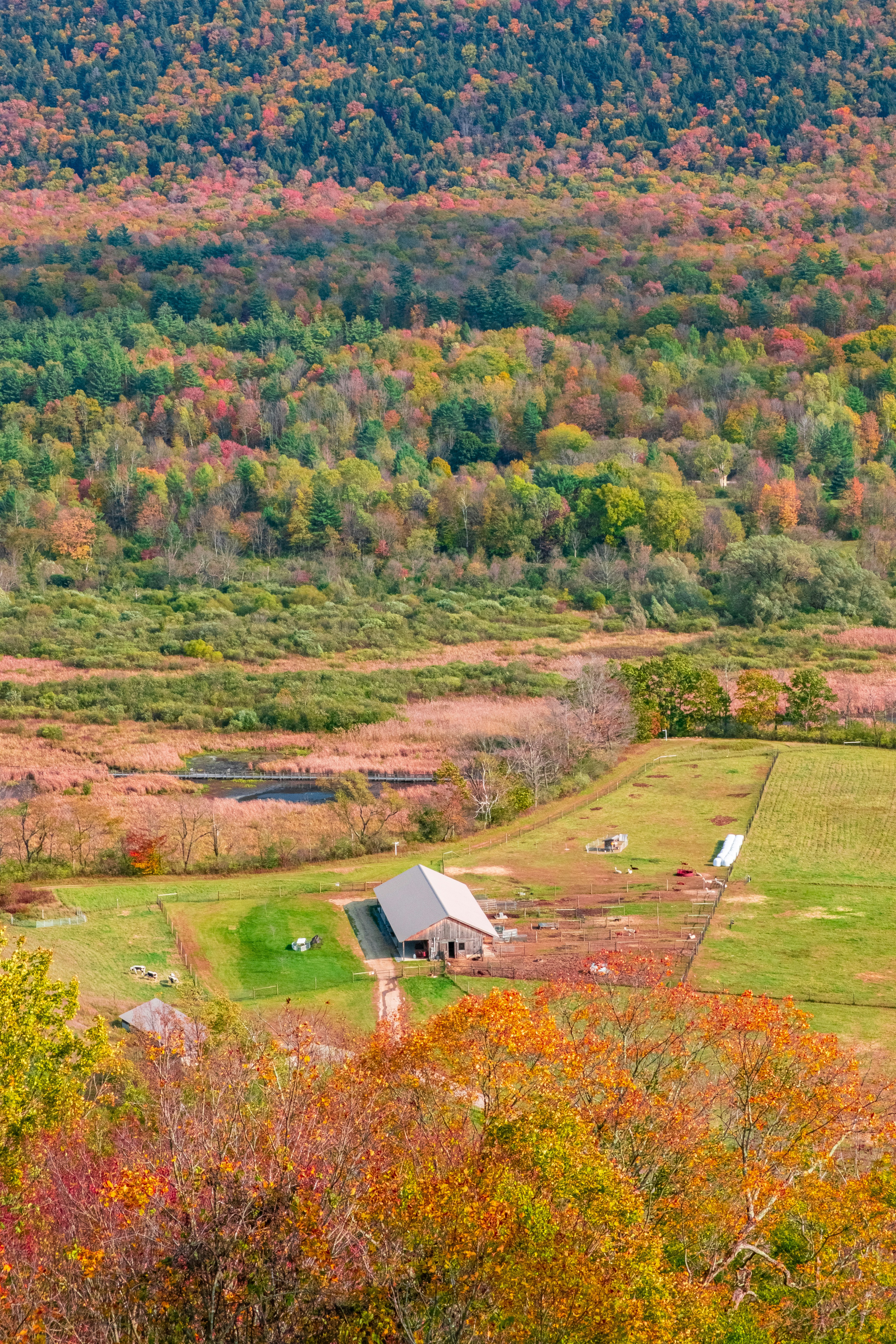 Photo by wenhao_ruan