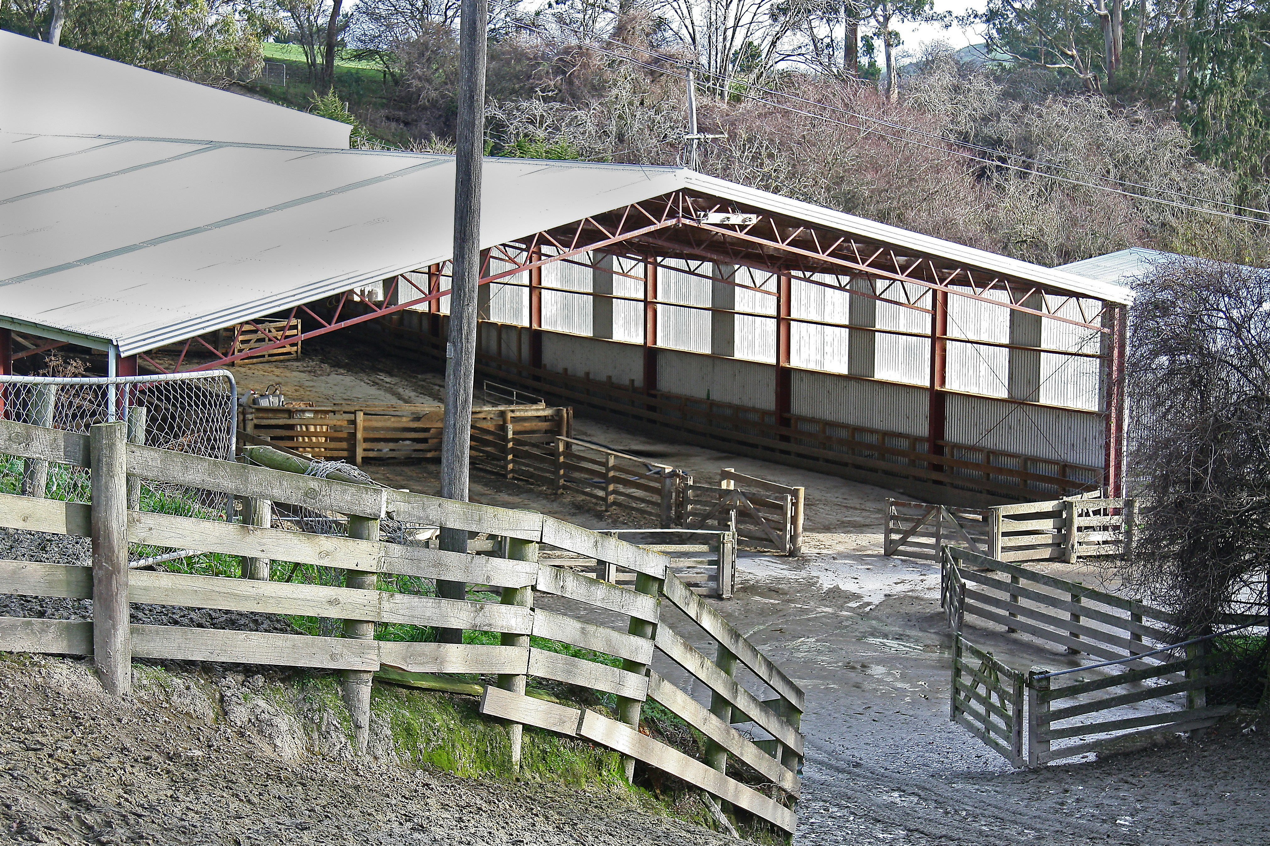 white and brown wooden shed
