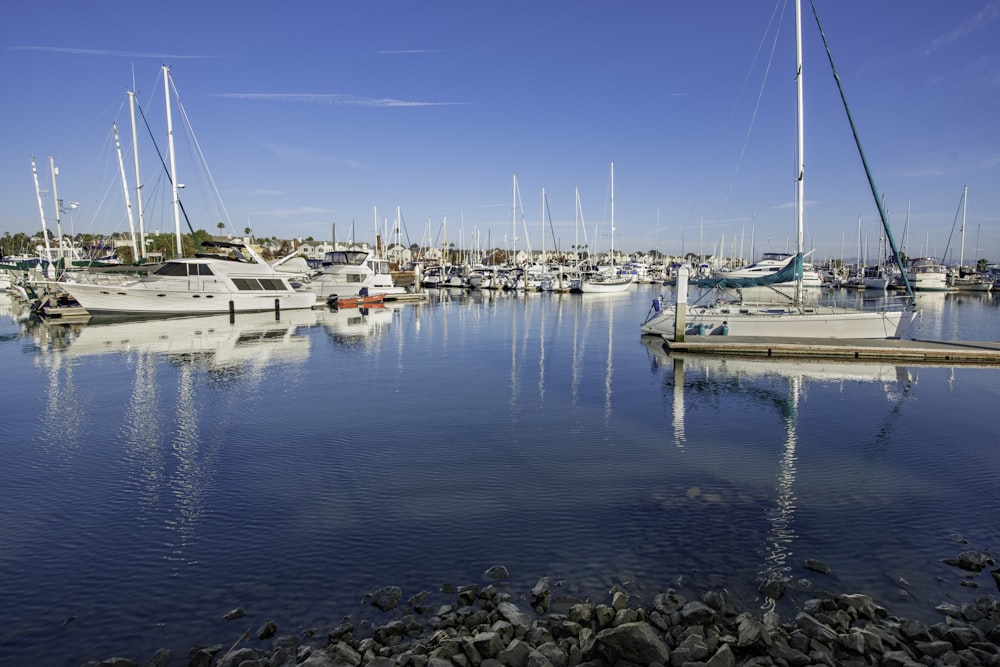 white and blue boat on sea dock during daytime