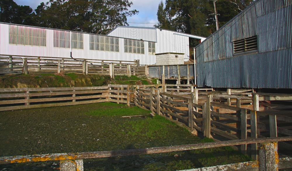 white and blue wooden shed near green trees during daytime