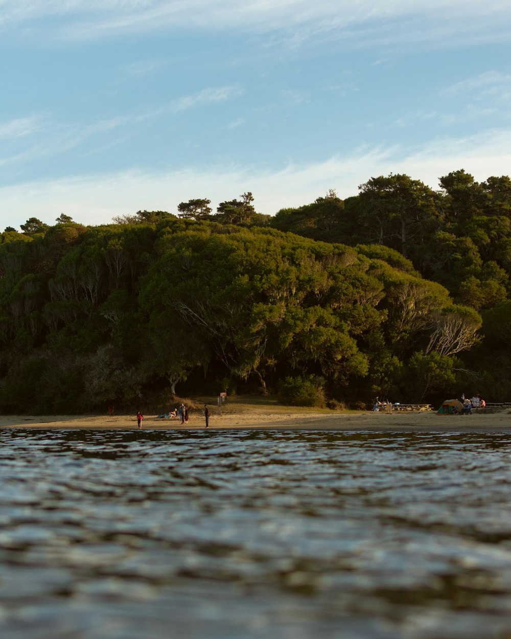 people on beach during daytime