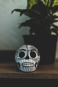 A decorative skull with intricate black designs is placed on a wooden surface. Behind it, a potted plant is slightly out of focus, adding depth to the composition.