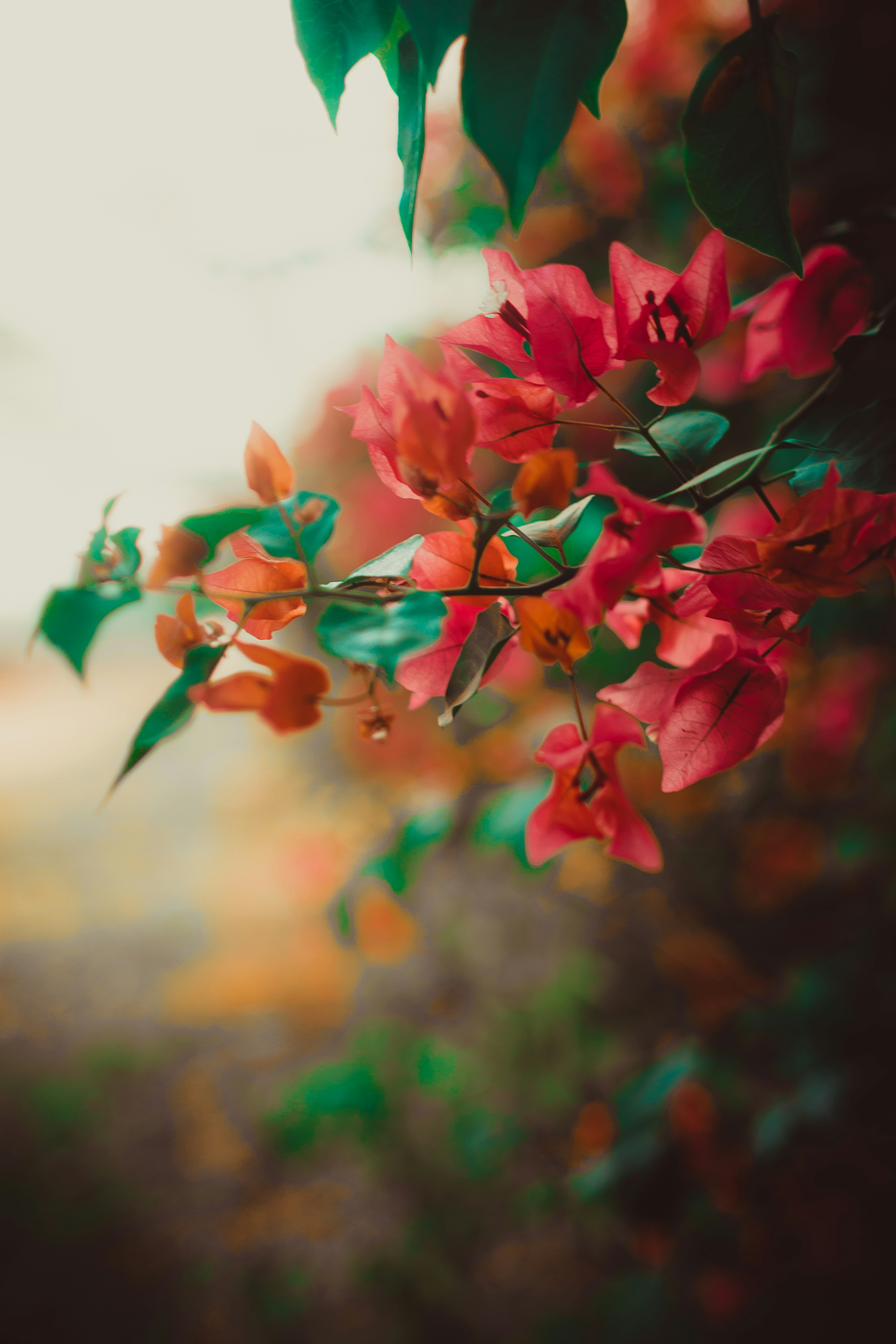 Photo by in_a_dustyblackcoat