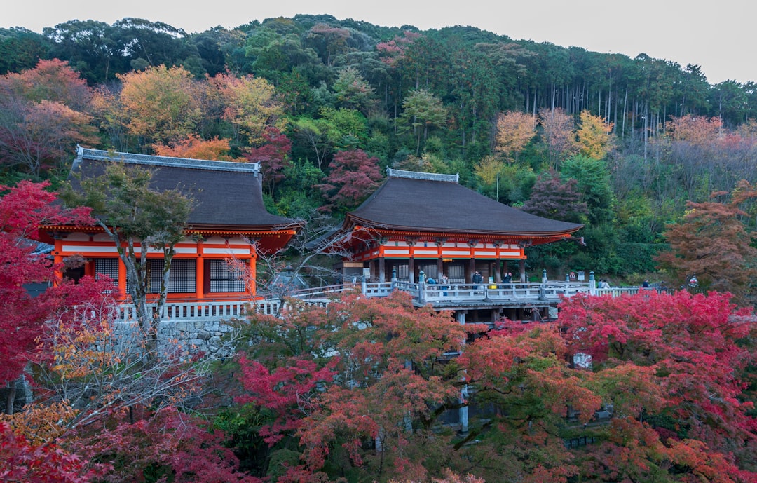 red and black temple surrounded by trees during daytime