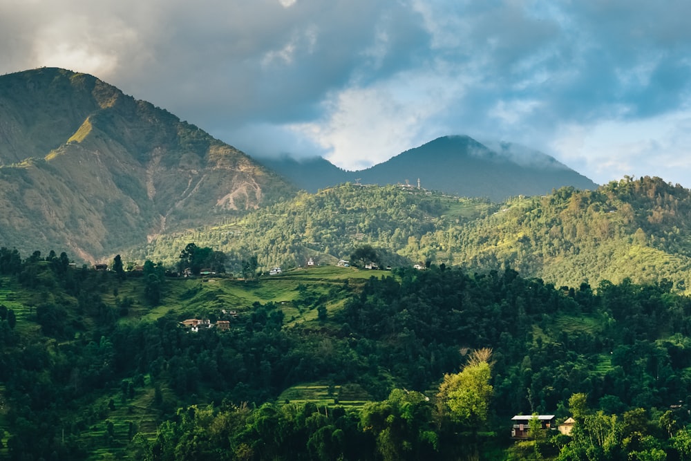 árboles verdes en la montaña bajo nubes blancas durante el día