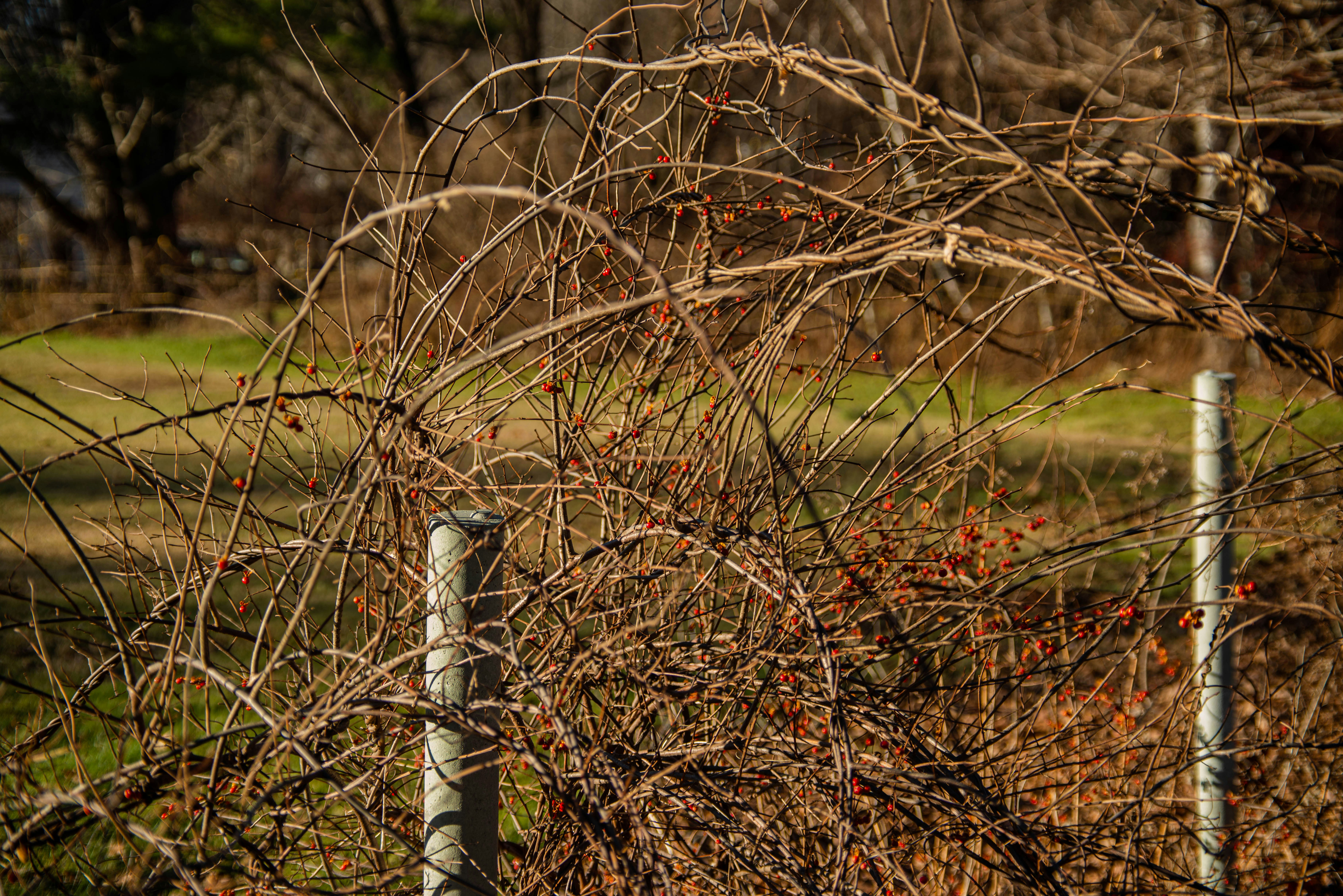 Photo by masondoesphotos