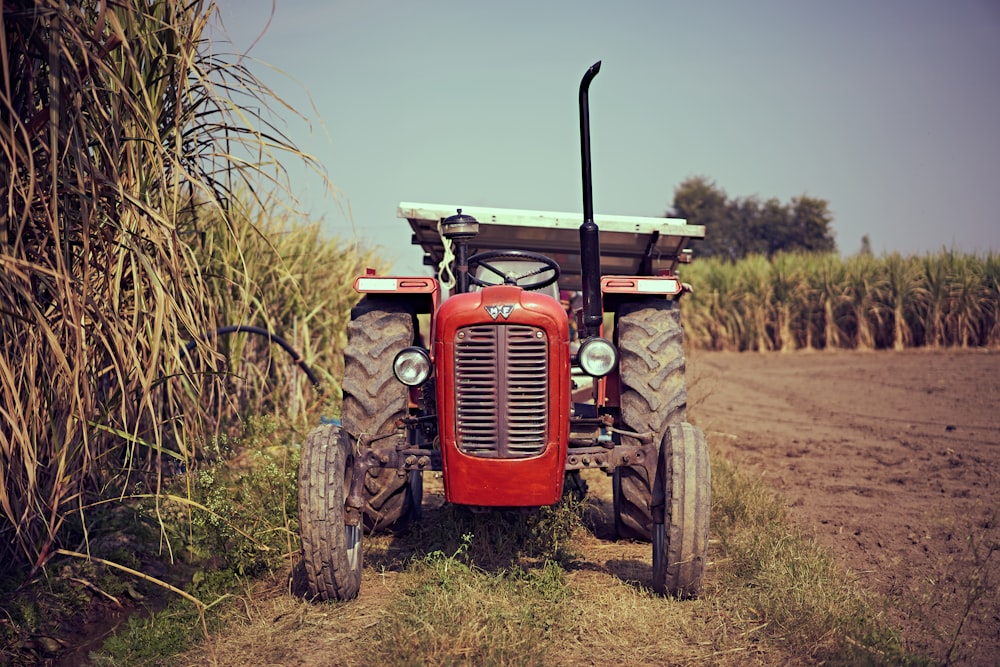 roter Traktor tagsüber auf braunem Rasen