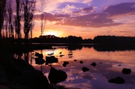 A peaceful lakeside scene painted with deep purples and fiery oranges at sunset.