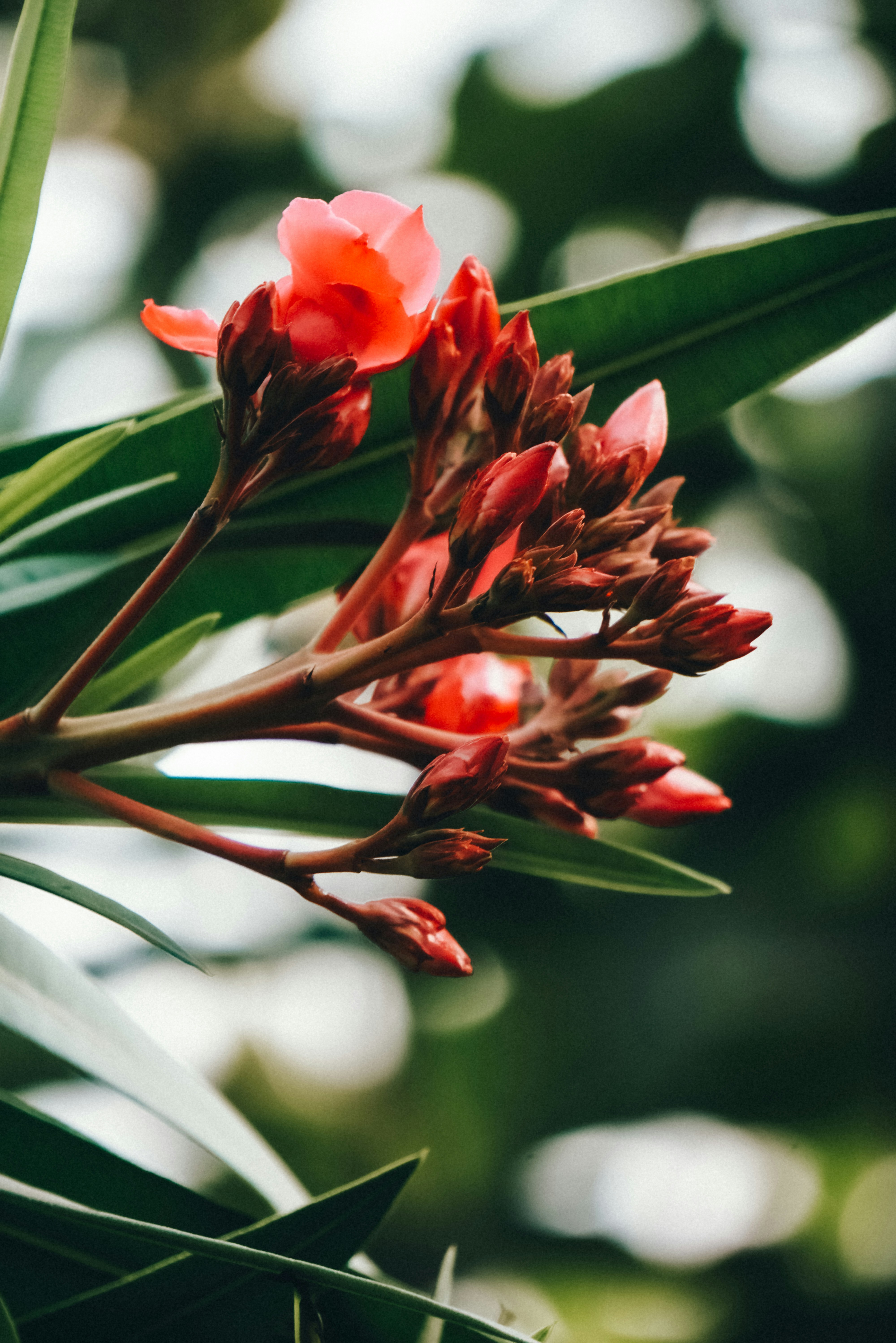 Photo by infinity_loops