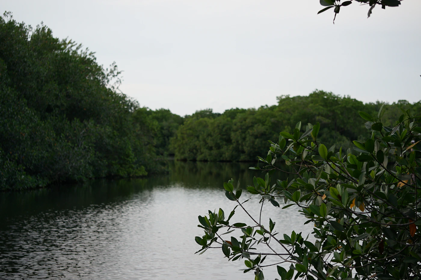 Quiet water and tree cover, a short drive from Aventura’s center.