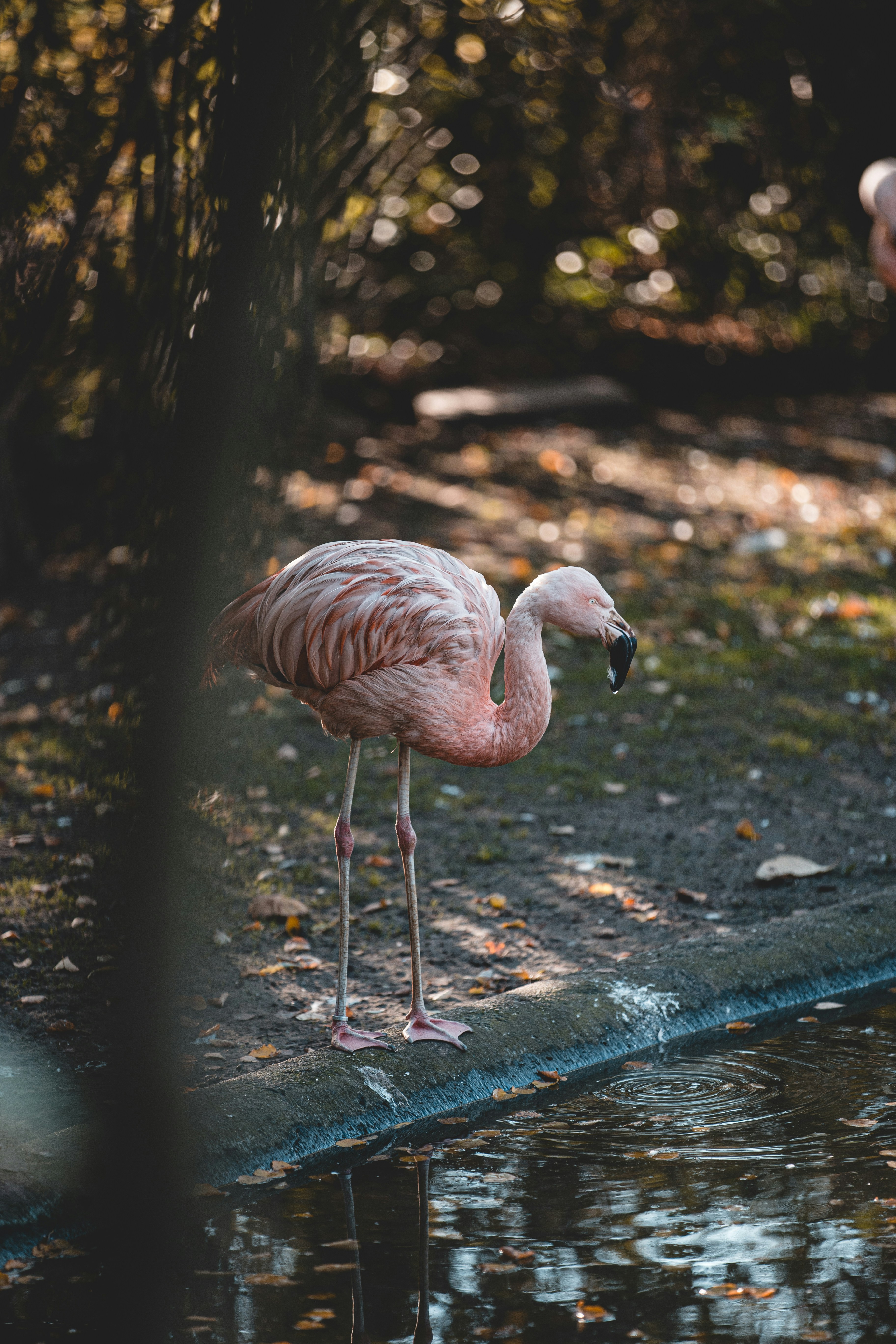 Photo by anna_hinckel