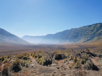 green grass field near mountain during daytime