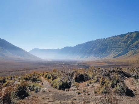 green grass field near mountain during daytime