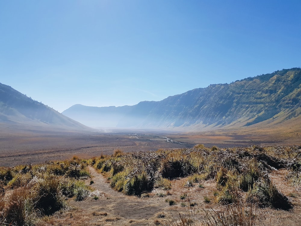 green grass field near mountain during daytime