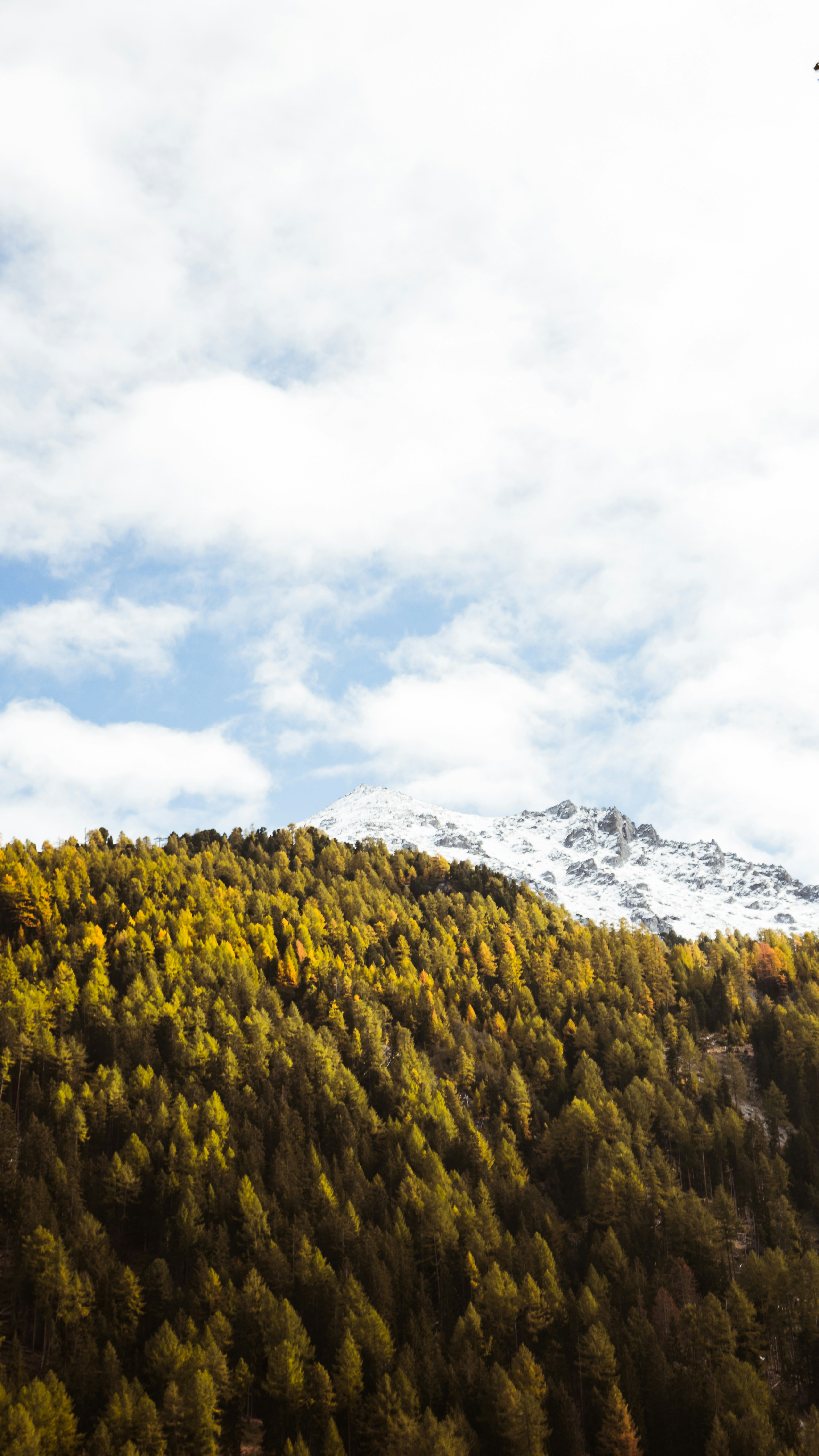 Photo by virussinside