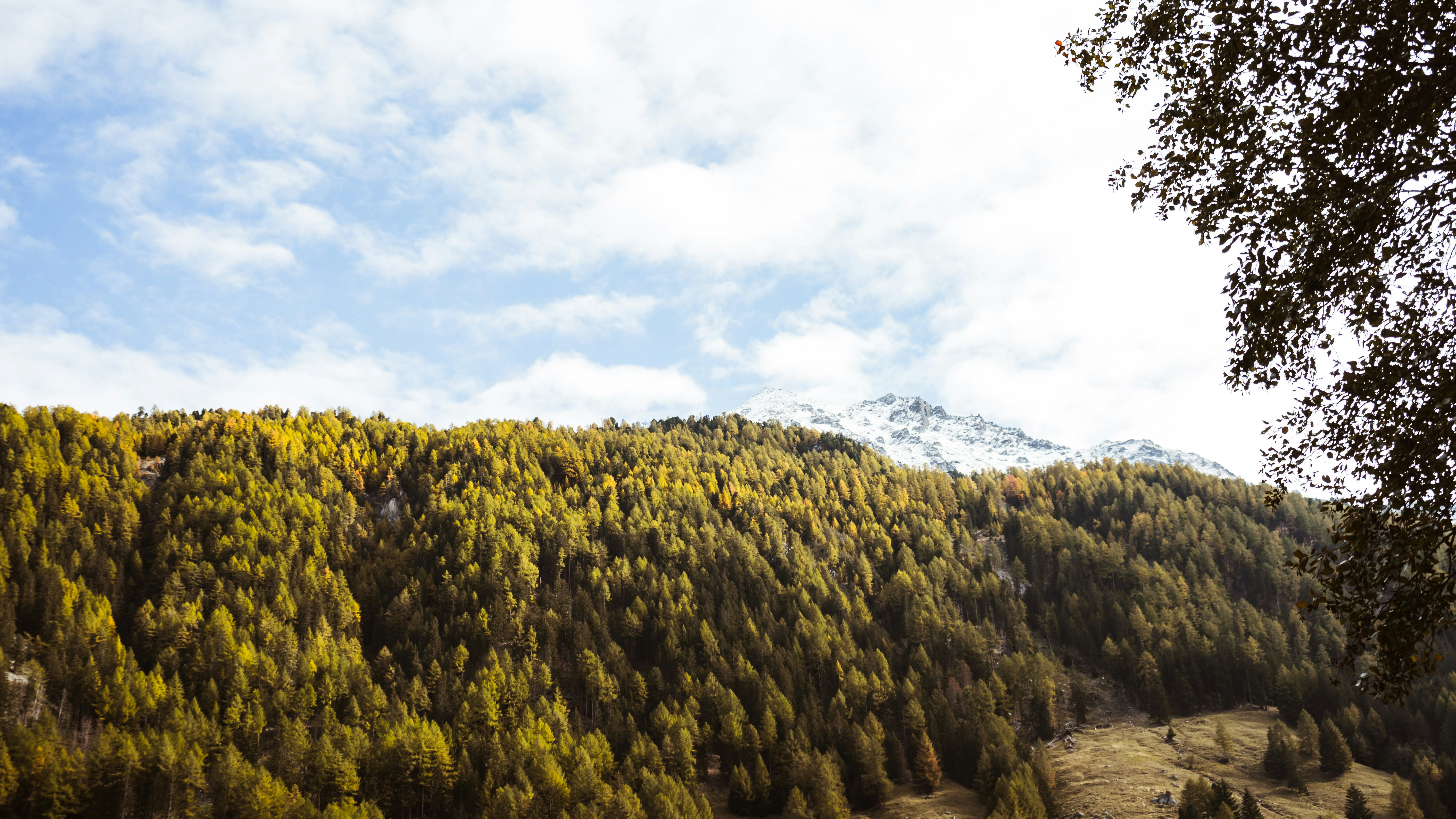 Photo by virussinside