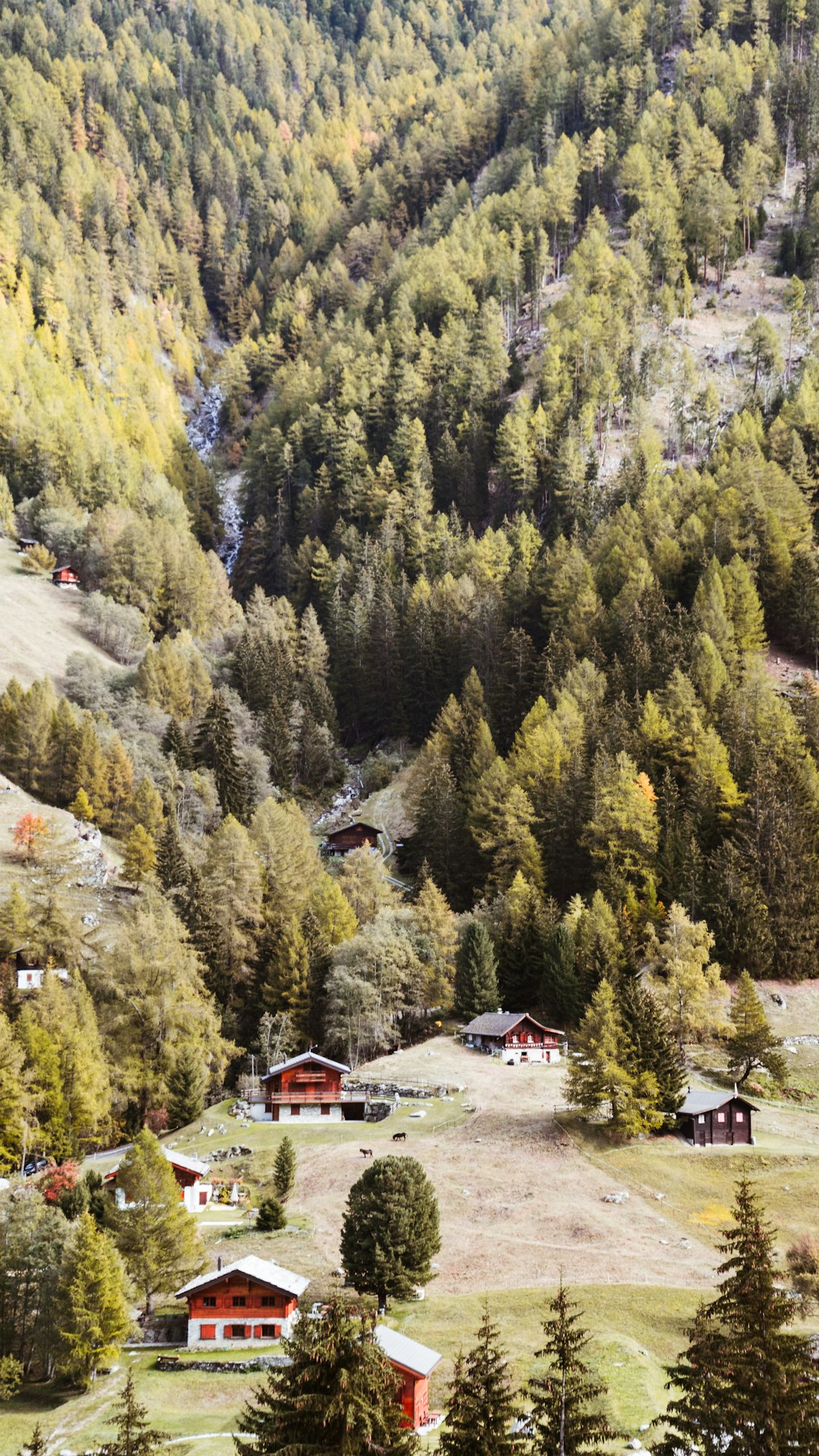 red and white house surrounded by green trees during daytime