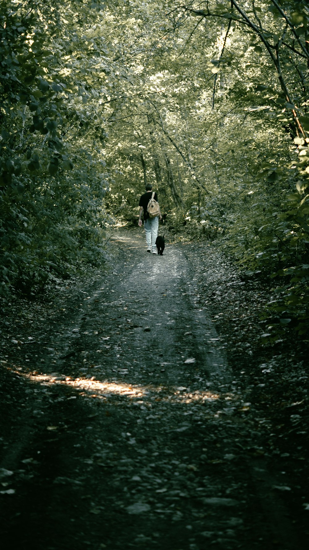 낮에 푸른 나무 사이의 길을 걷고 있는 흰 셔츠를 입은 여자