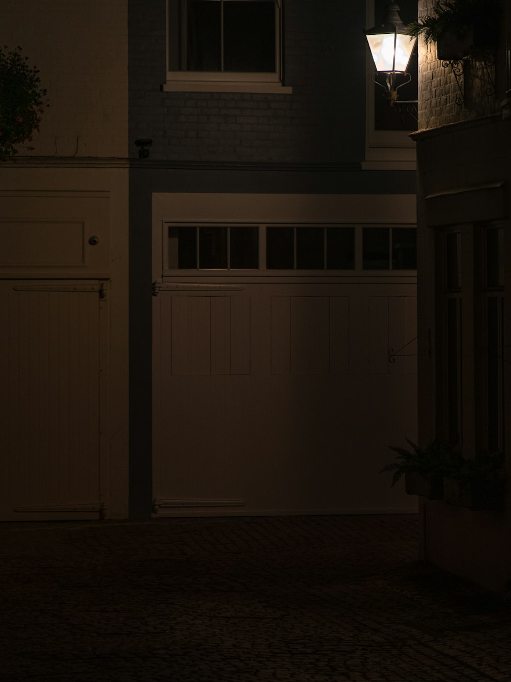 white wooden door near green plant