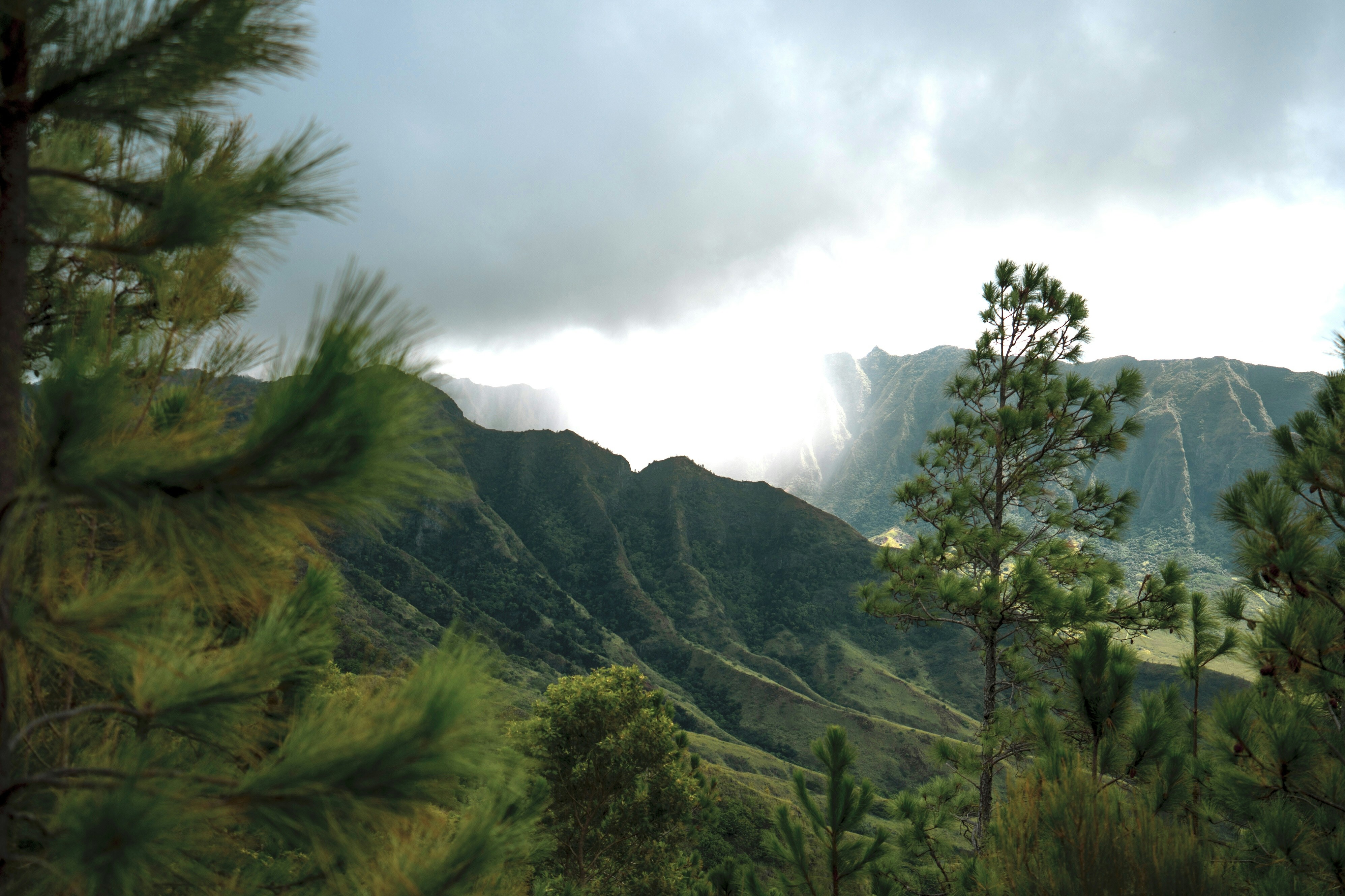 Photo by jess_adventures808