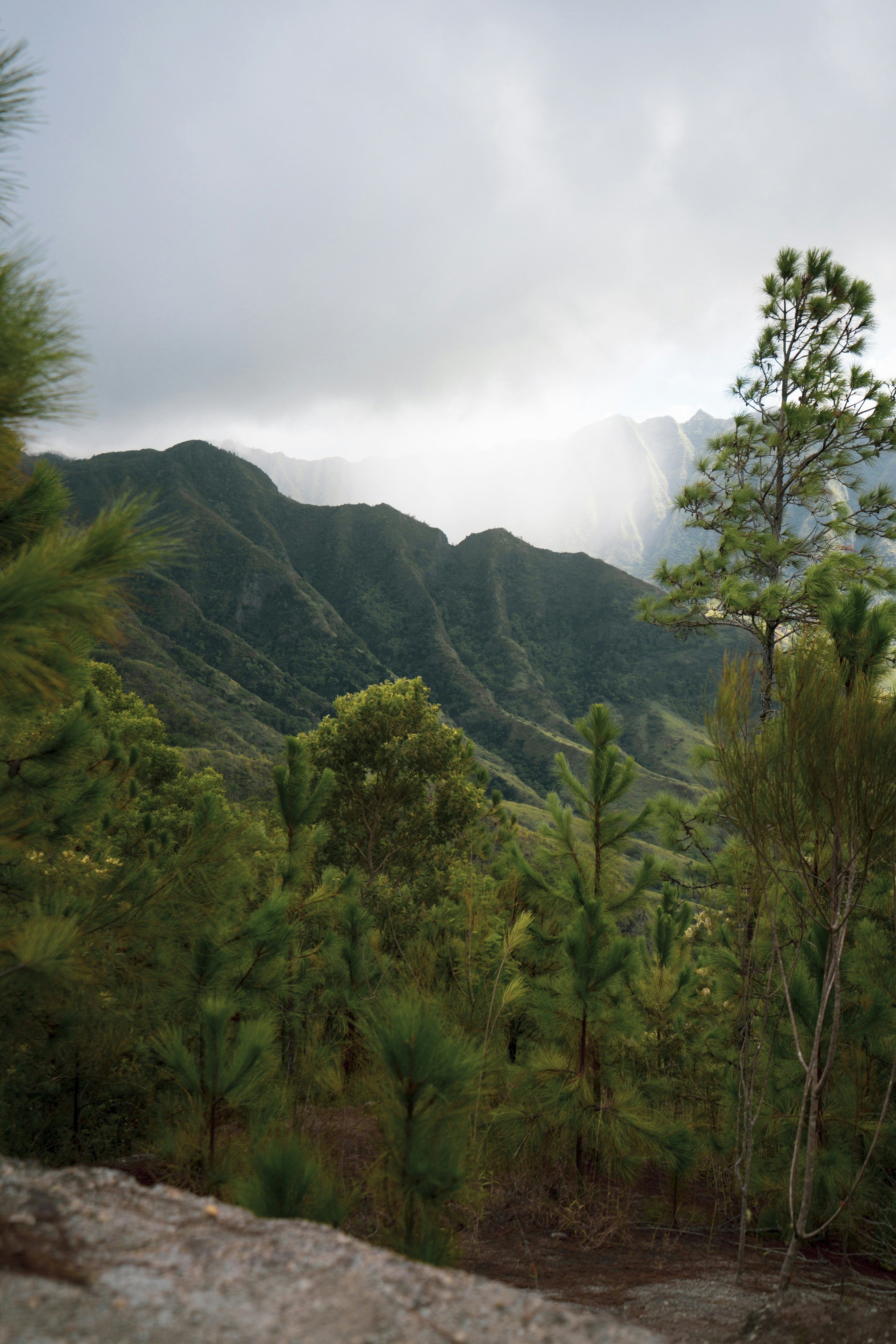 Photo by jess_adventures808