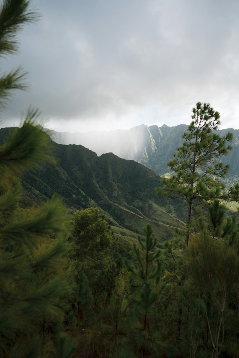 alberi verdi sulla montagna sotto nuvole bianche durante il giorno