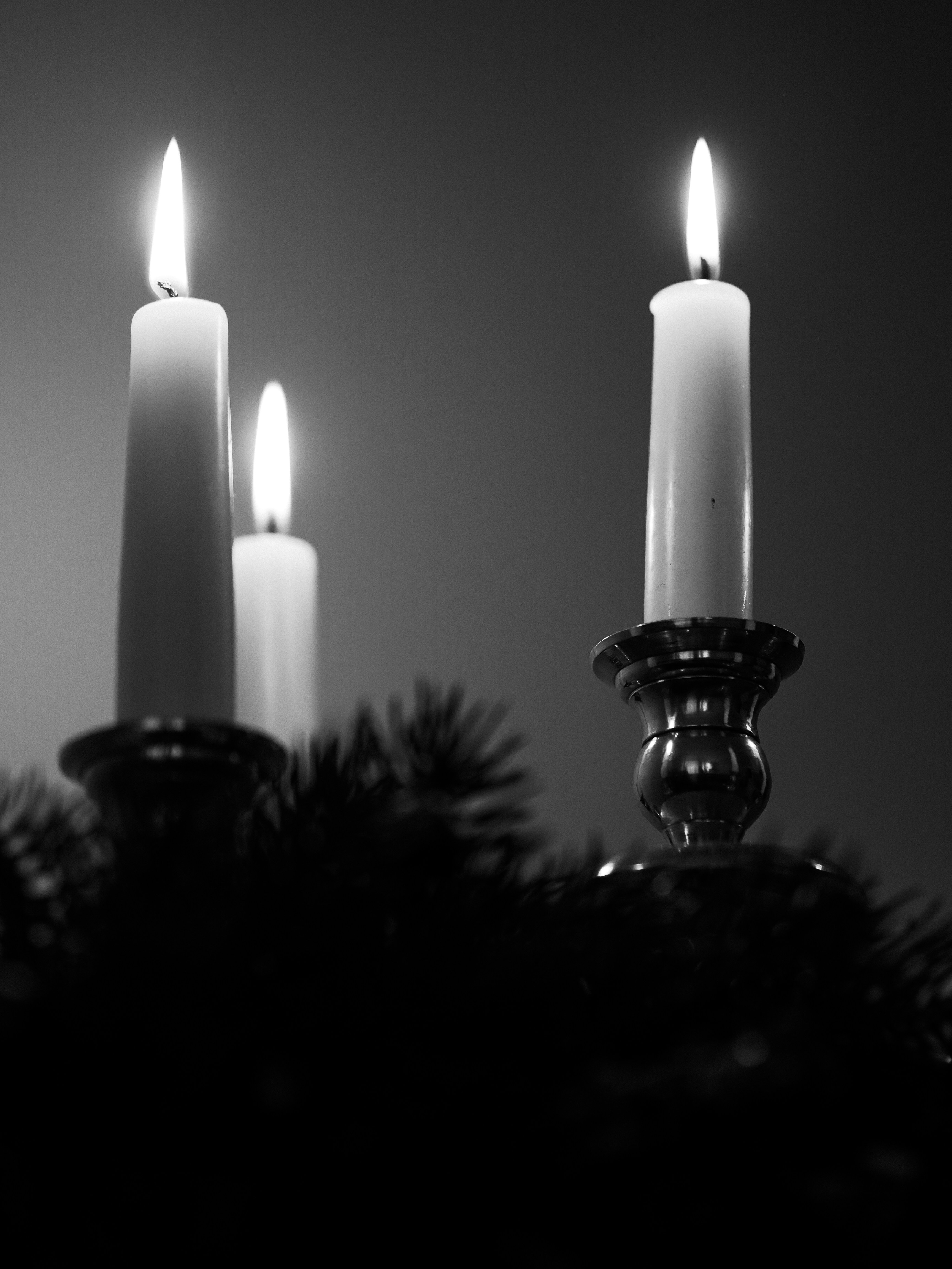 Photo by laurachouette