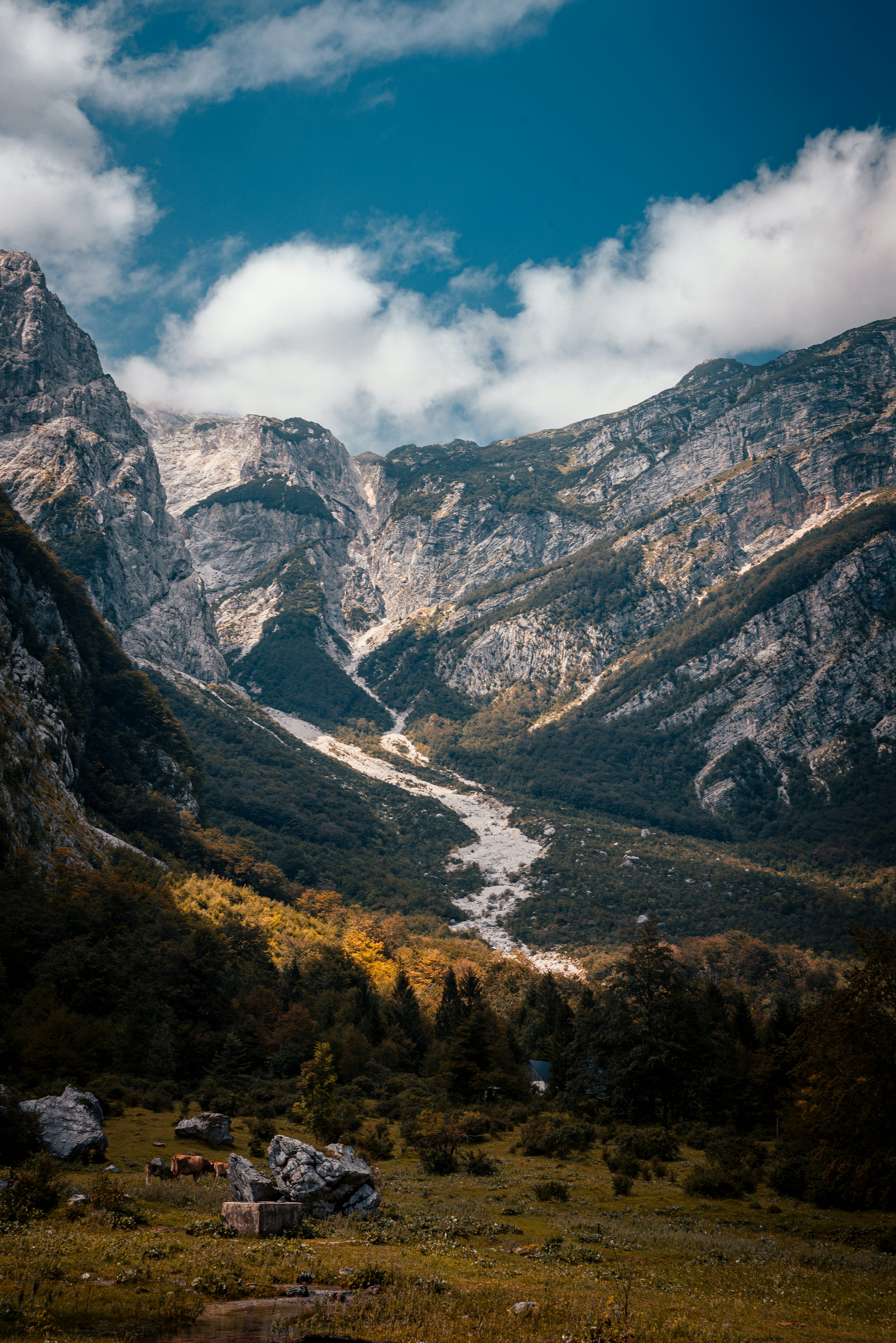 Photo by planetaryphoto