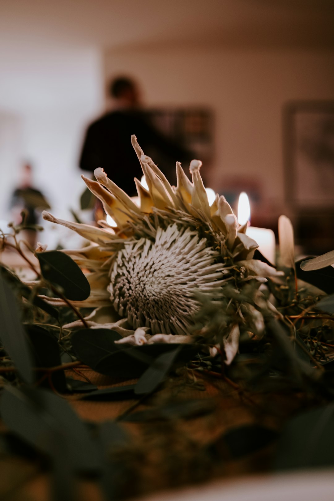 white flower on brown wooden table