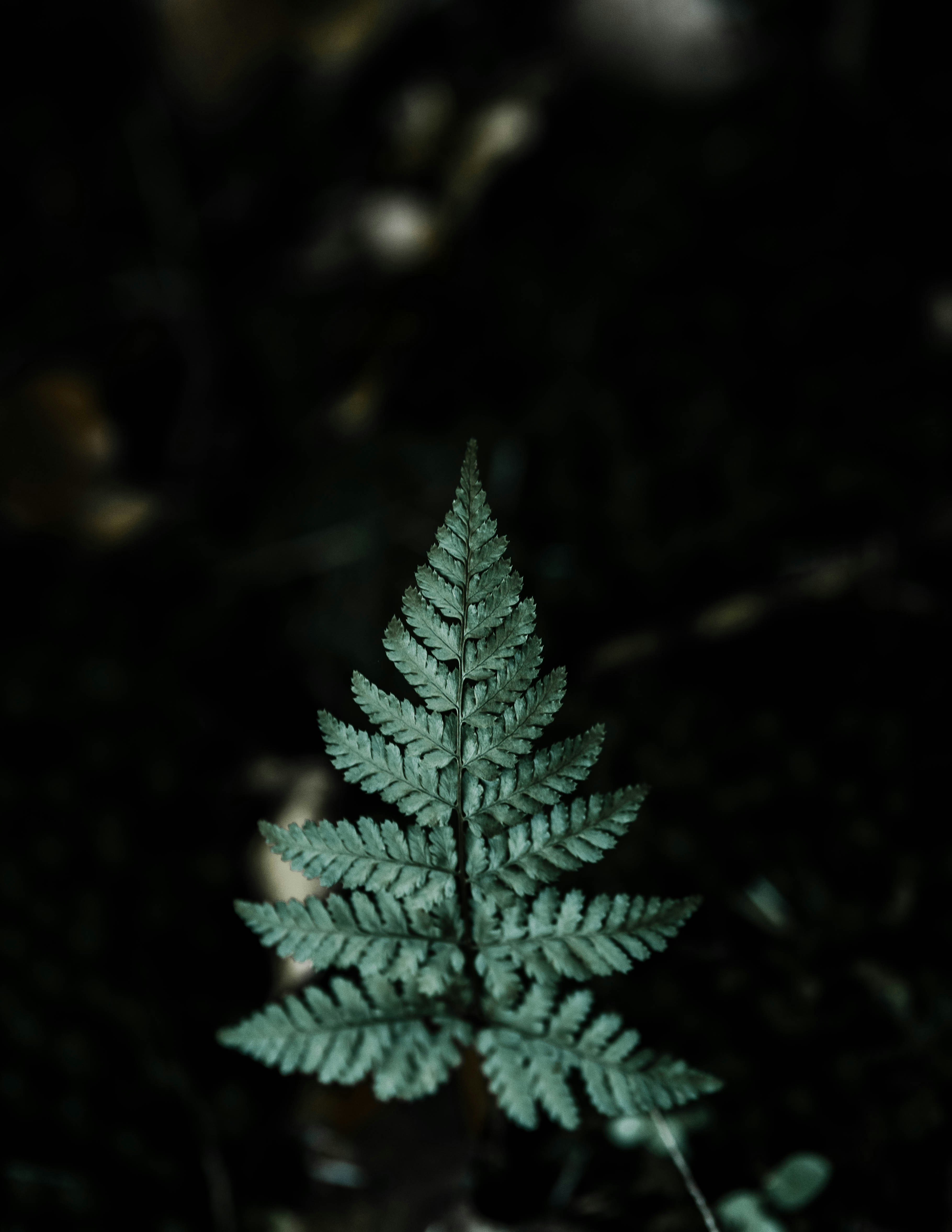 Photo by xandrovandewalle