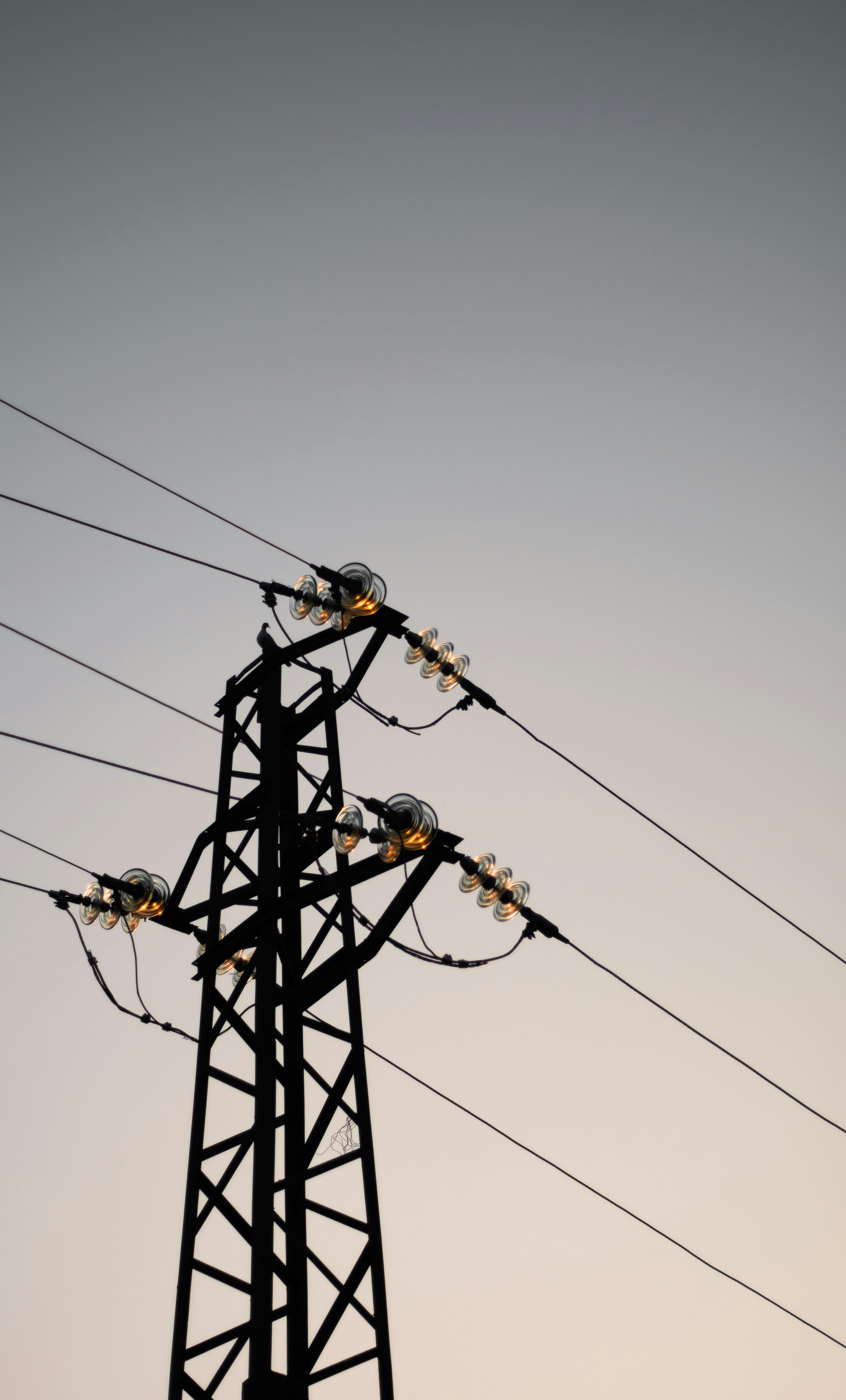 Photo by danielabeleva